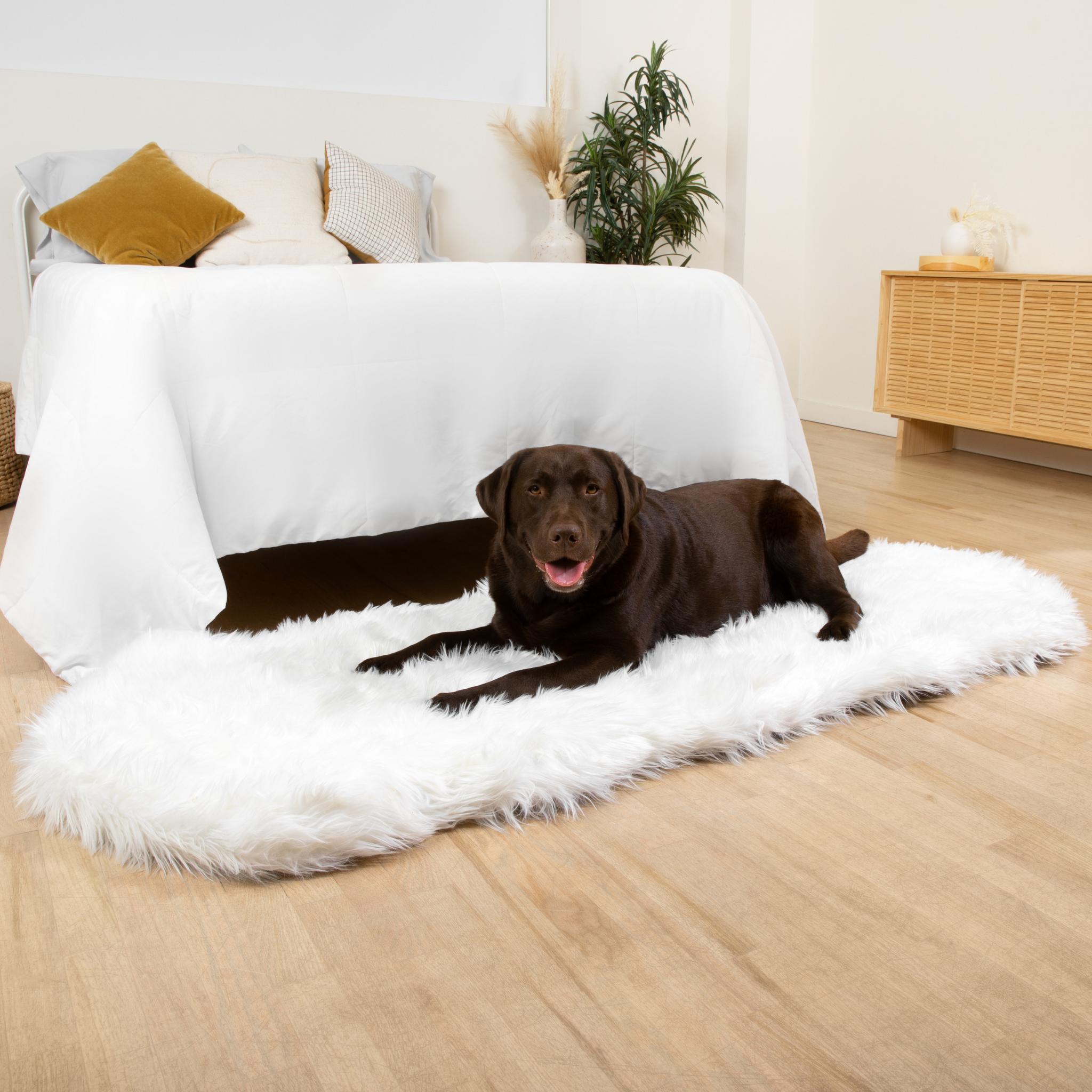 PupRug™ Runner Faux Fur Memory Foam Dog Bed - Curve Polar White、mySite、solidvoid