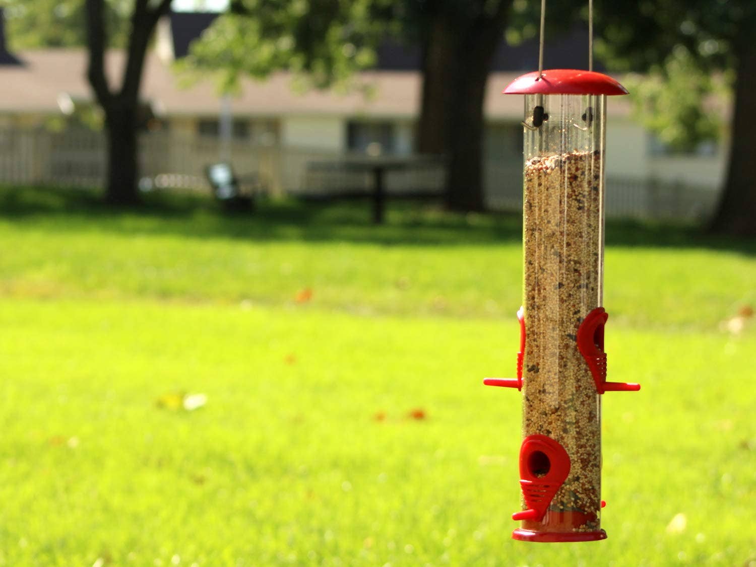 Ashman Sturdy Tube Bird Feeders-Set of 2, Green, Red or Yellow、mySite、g9winljtr