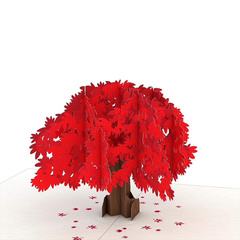 Japanese Maple Notecards (4-Pack)、mySite、solidvoid