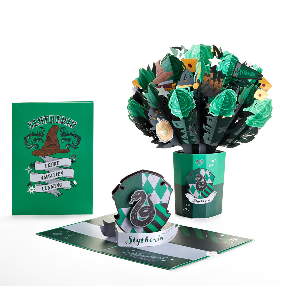Harry Potter™ Slytherin™ Birthday Bundle、mySite、solidvoid