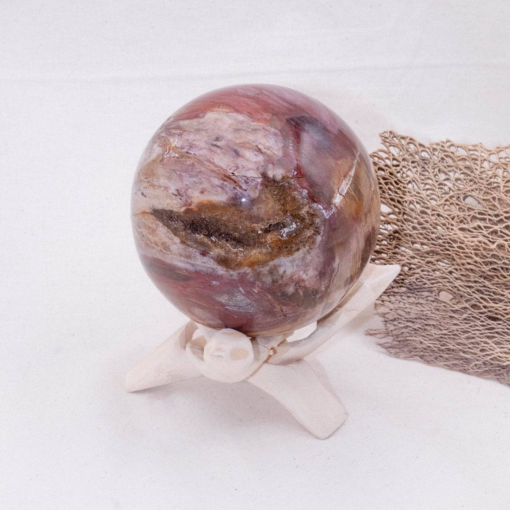 Petrified Wood Sphere - AAA Premium Quality、mySite、hinf8tx79