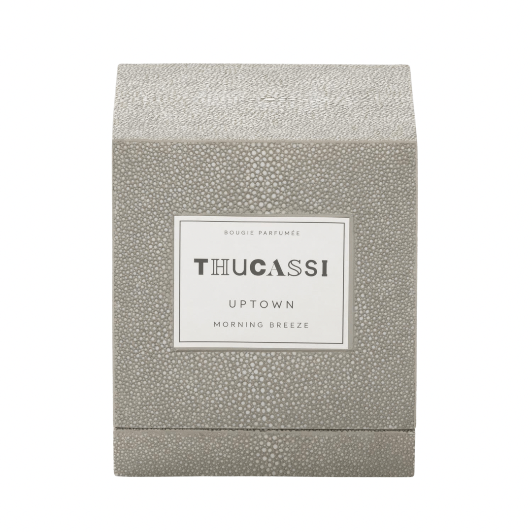  Thucassi Uptown Morning Breeze Shagreen Candle Box、mySite、elrpsem3k