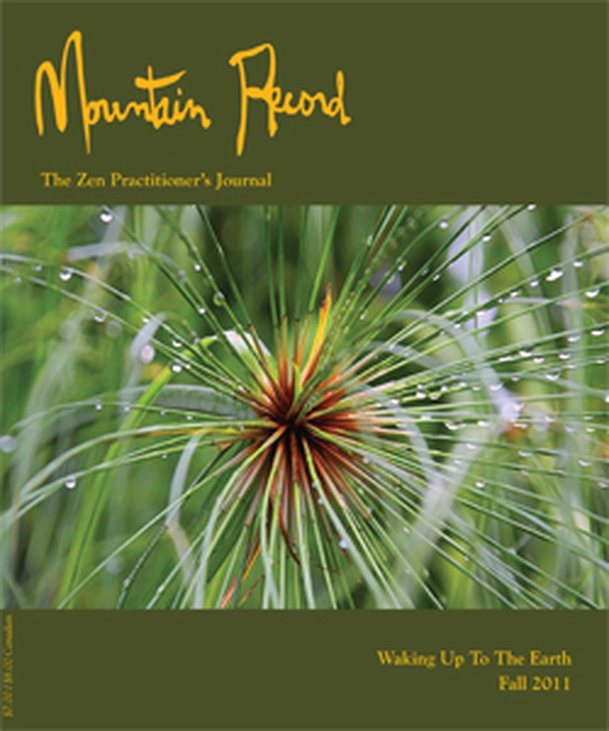 Waking Up to the Earth - Mountain Record, Vol. 30.1, Fall 2011、mySite、topwebapps