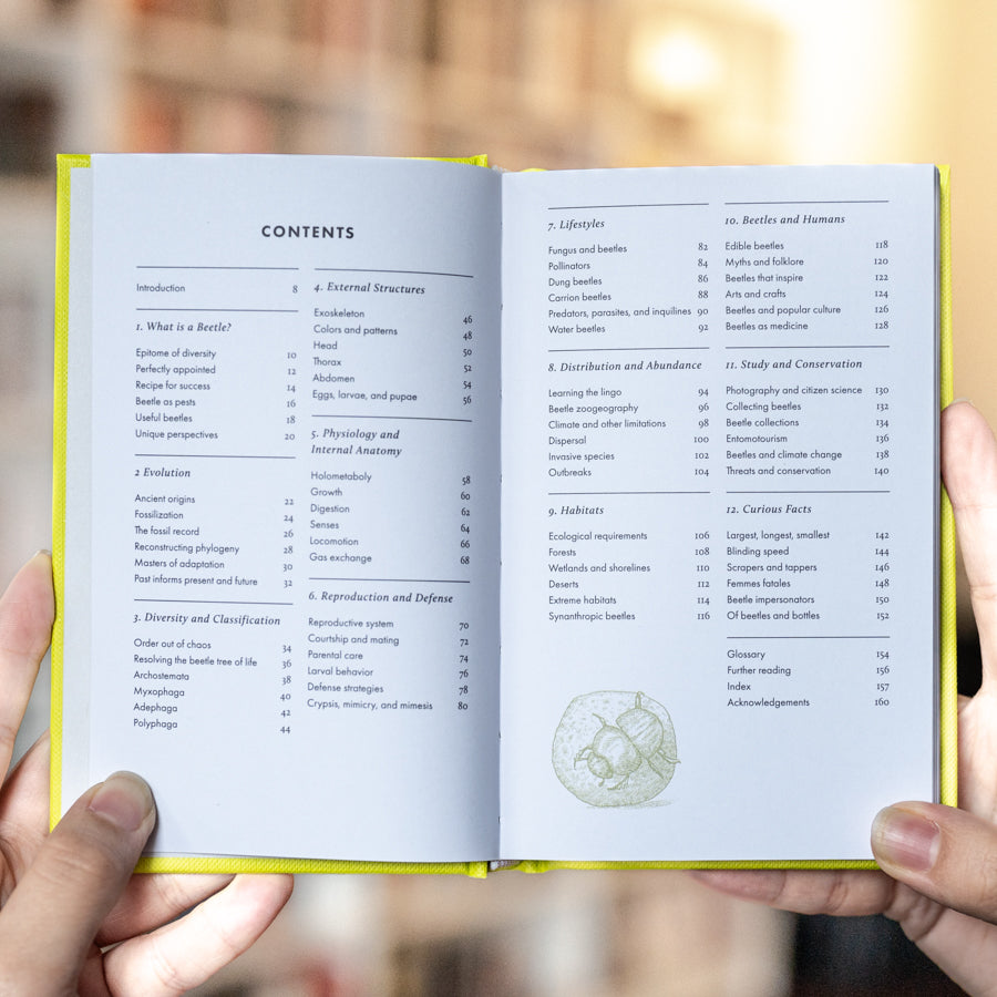 The Little Book of Beetles、mySite、topwebapps