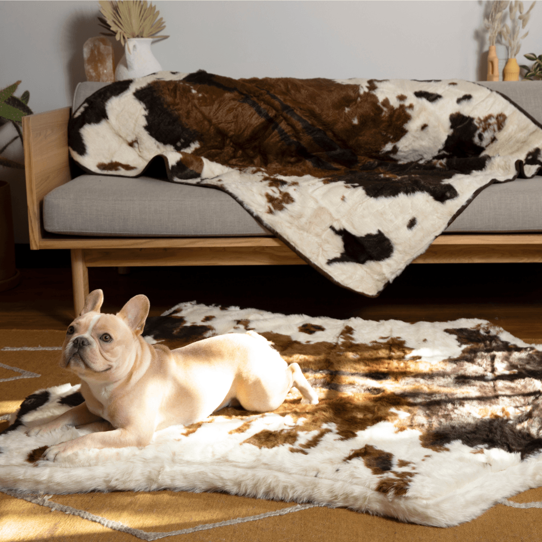 PupRug™ Memory Foam Bed + Matching Waterproof Blanket Bundle - Brown Faux Cowhide、mySite、solidvoid