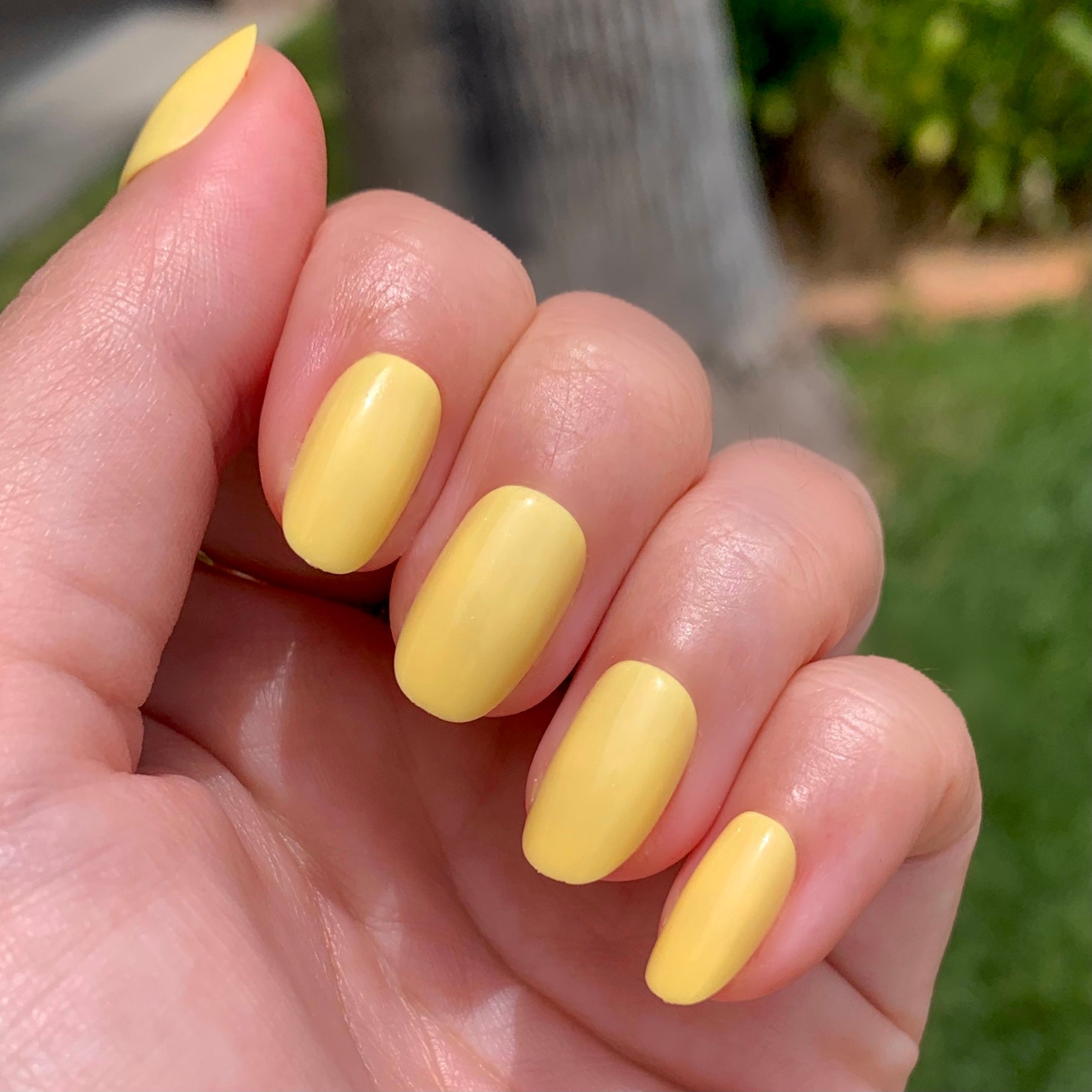 Bright & Focused | Round | Short、mySite、solidvoid