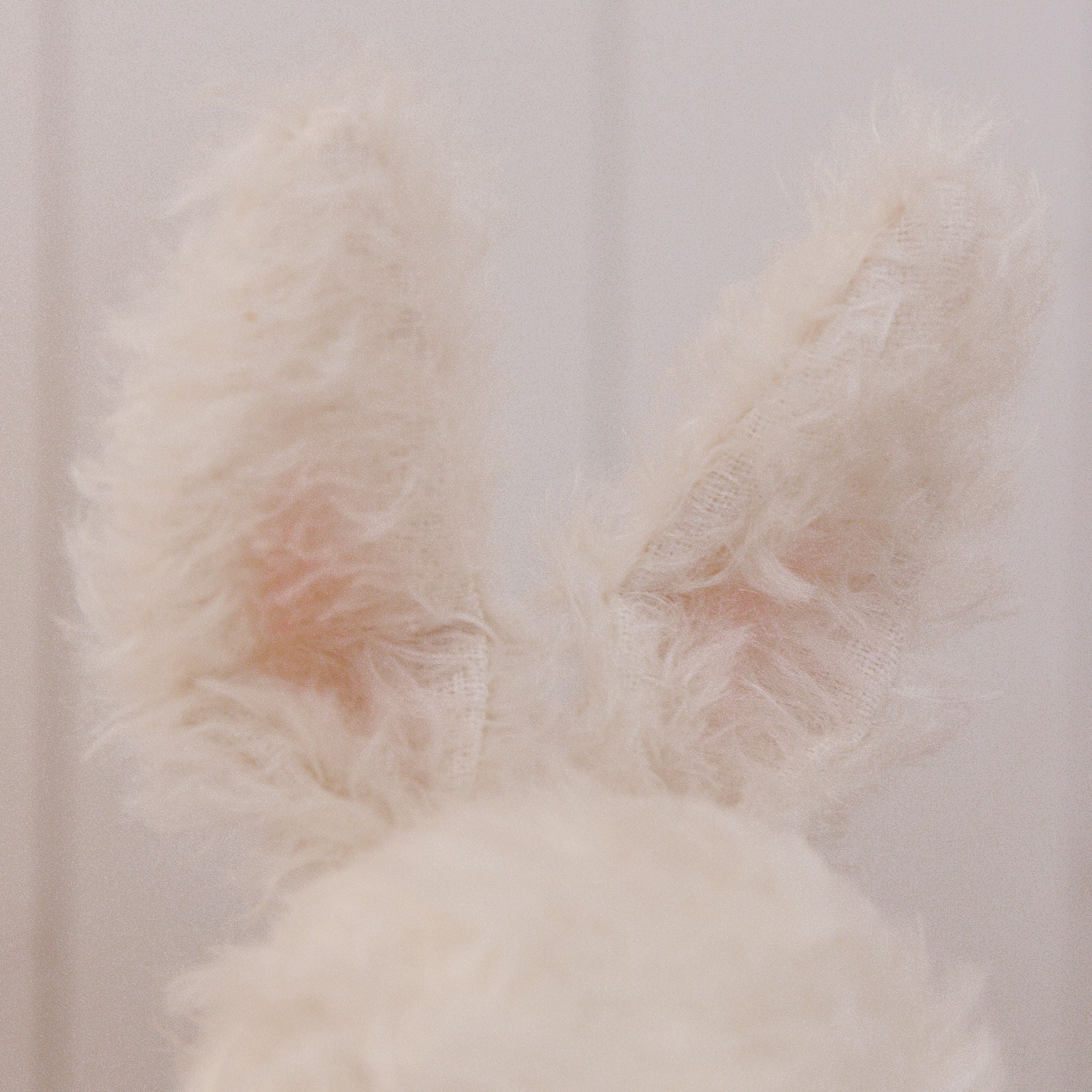 RETIRED - Hutch Studio - Lovely Love Note - Hand-Crafted Curly Mohair Cream Bunny、mySite、g9winljtr