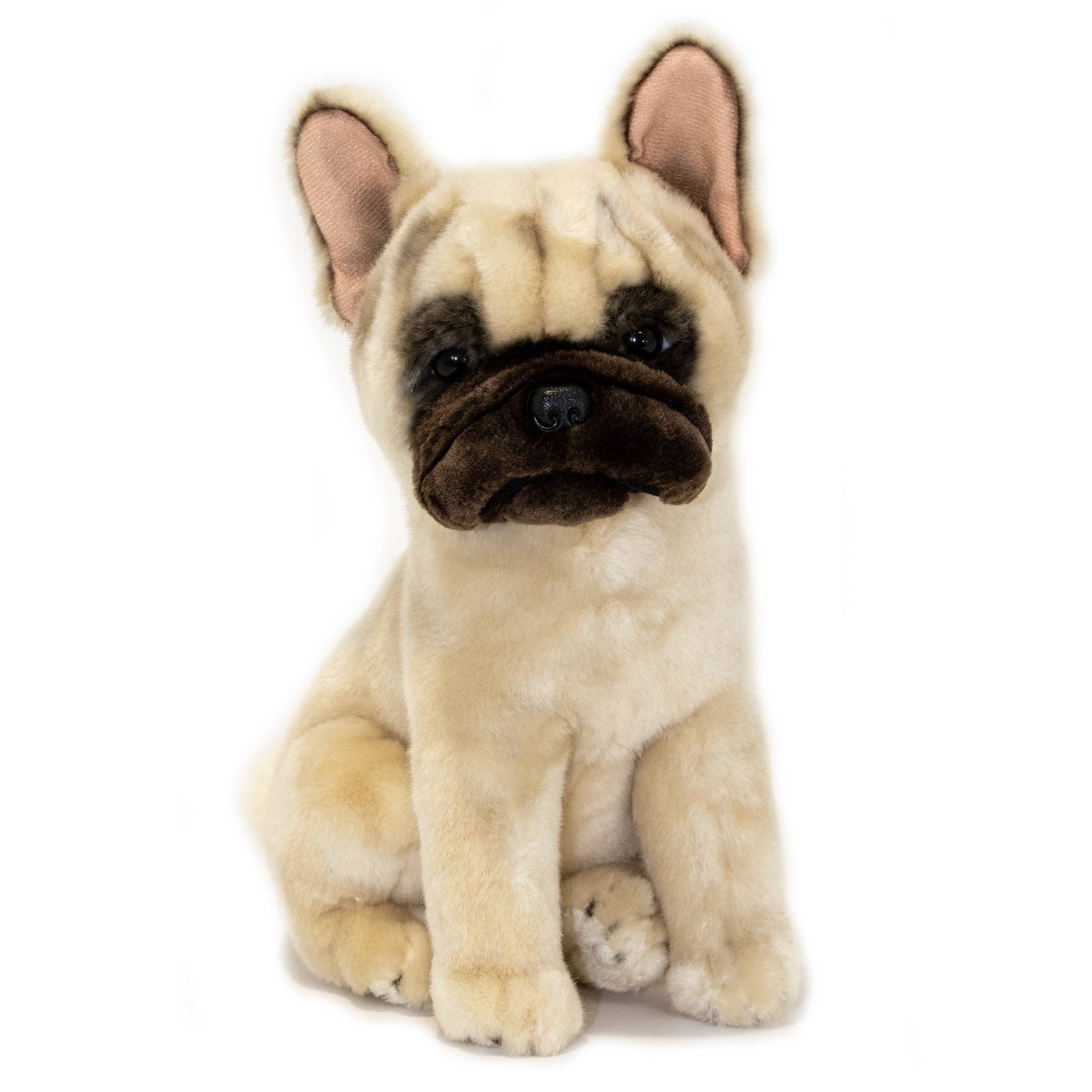 Fawn French Bulldog Handmade Realistic 30cm Sitting、mySite、g9winljtr
