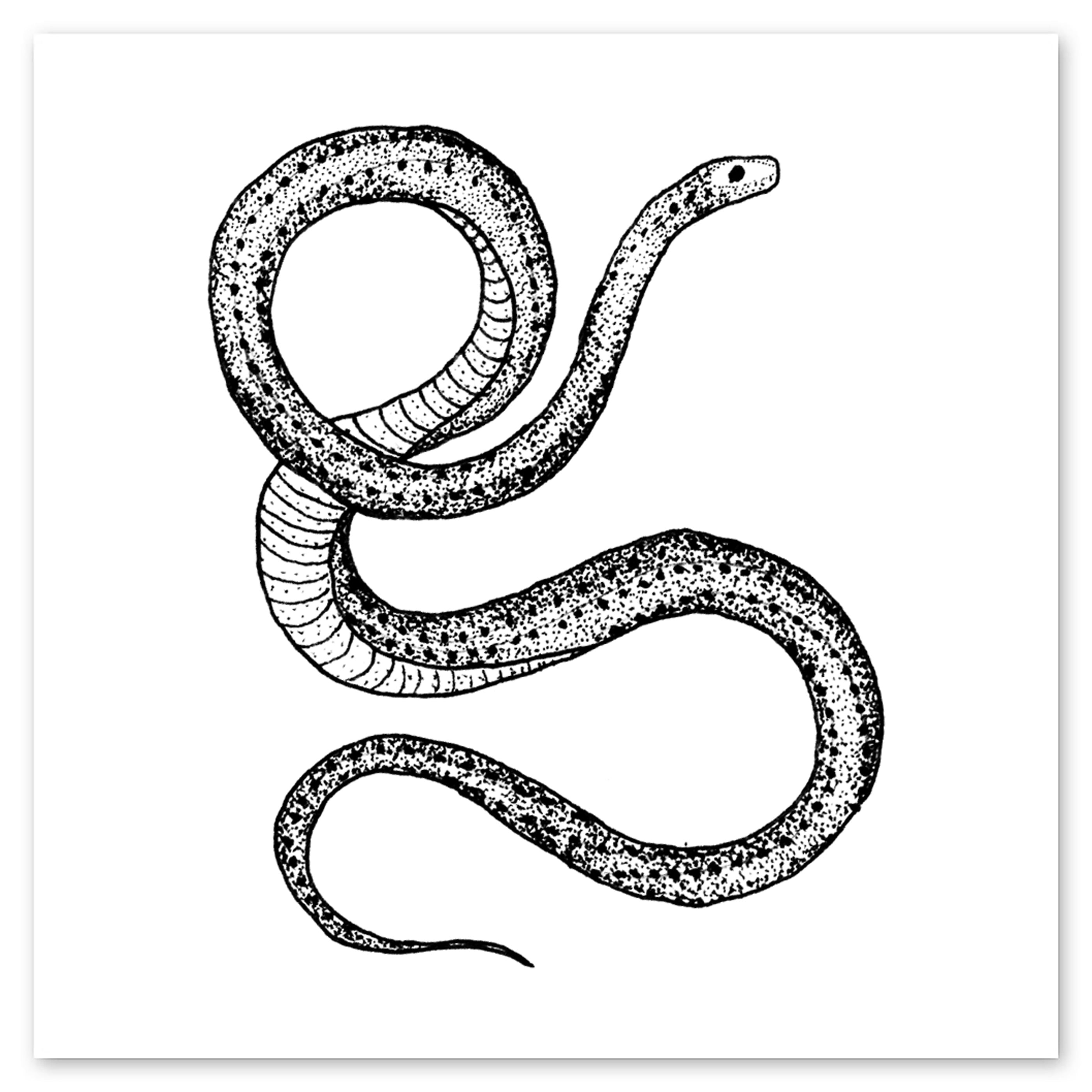  Serpent Tattly Temporary Tattoos、mySite、ghnorth