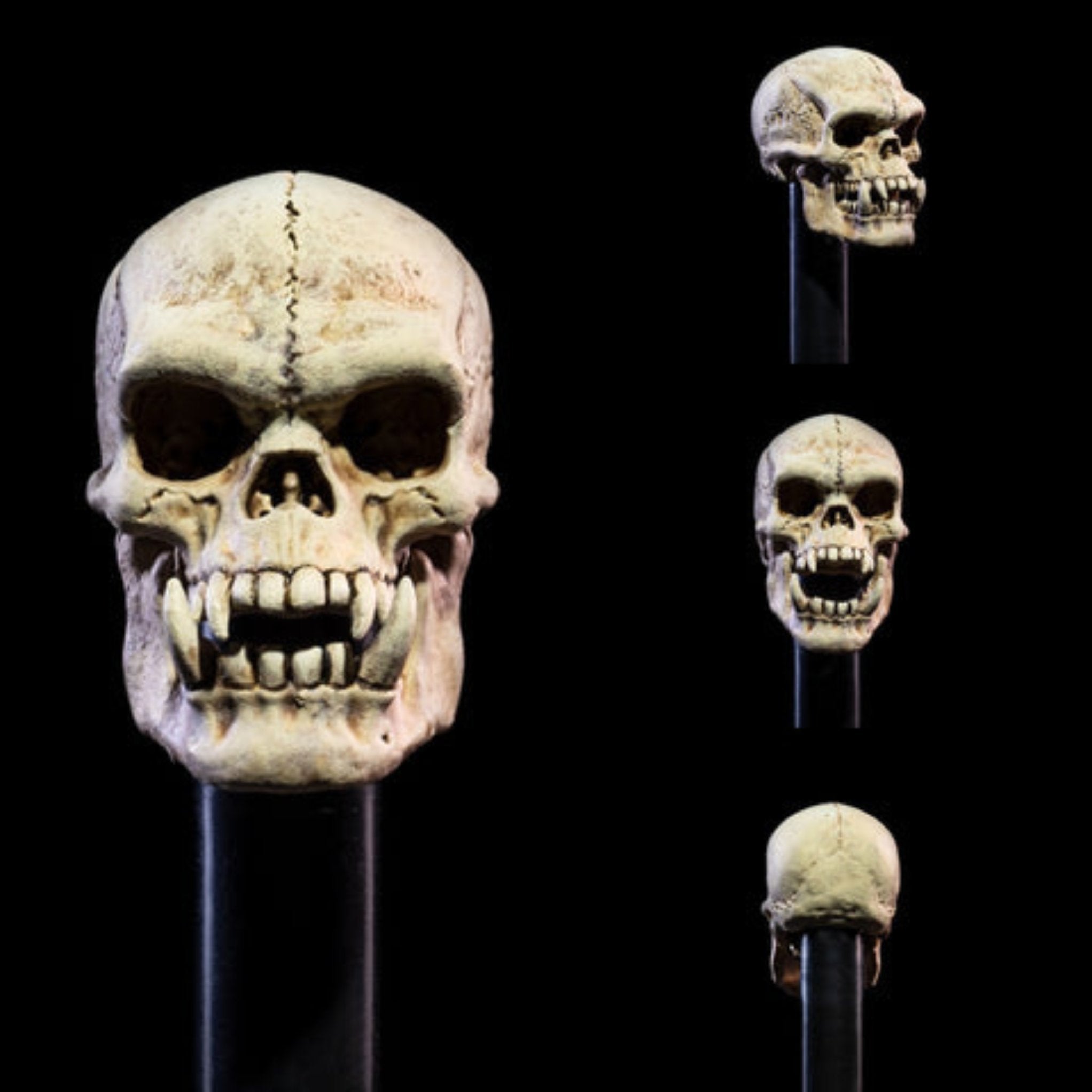 Mythic Legions Undead Heads Pack、mySite、hgirdovlk