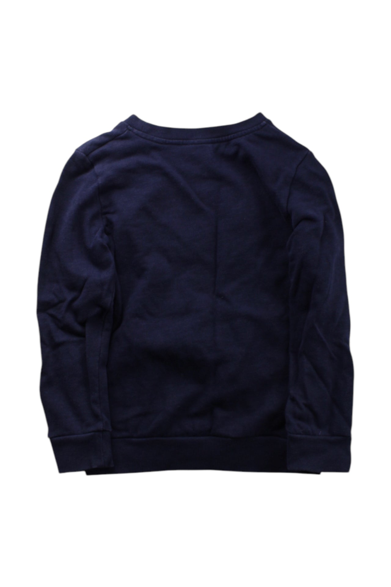 Seed Graphic Crewneck Sweatshirt 7Y、mySite、g9winljtr