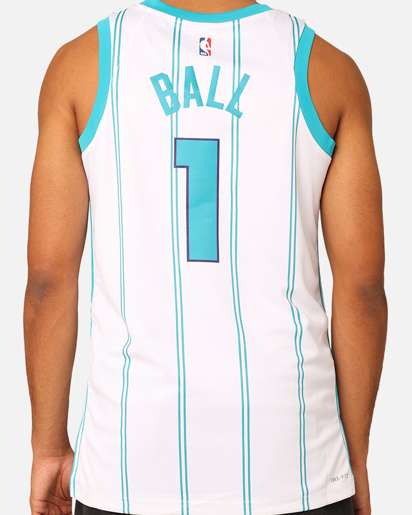 Nike Charlotte Hornets Lamelo Ball Association Edition 2022/23 Dri-FIT Swingman Jersey White、mySite、zt4zffjzw