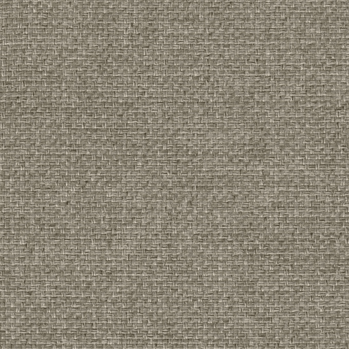 Grade B: Chess CH060、mySite、neckold