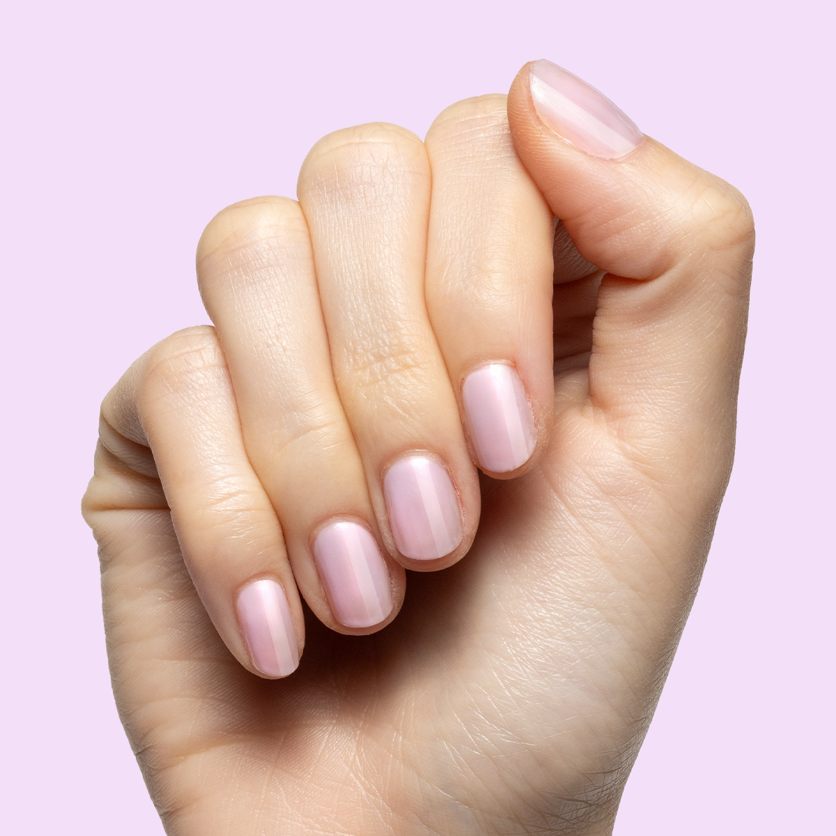 Passionfruit Gloss、mySite、solidvoid