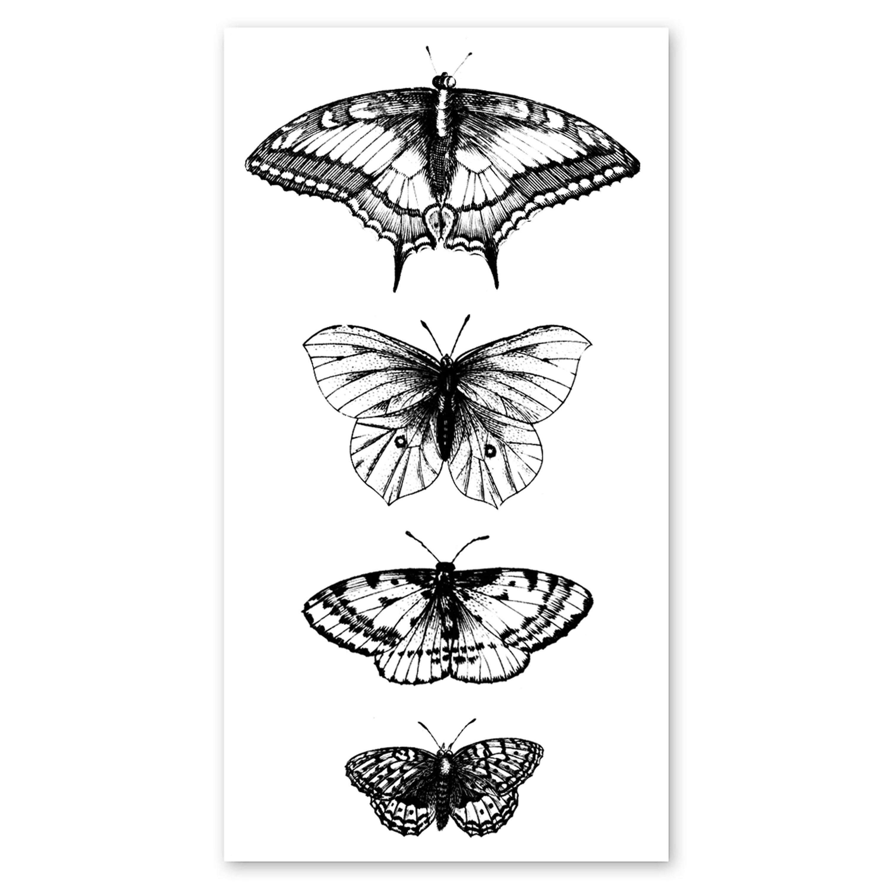  Black Butterflies Tattly Temporary Tattoos、mySite、ghnorth