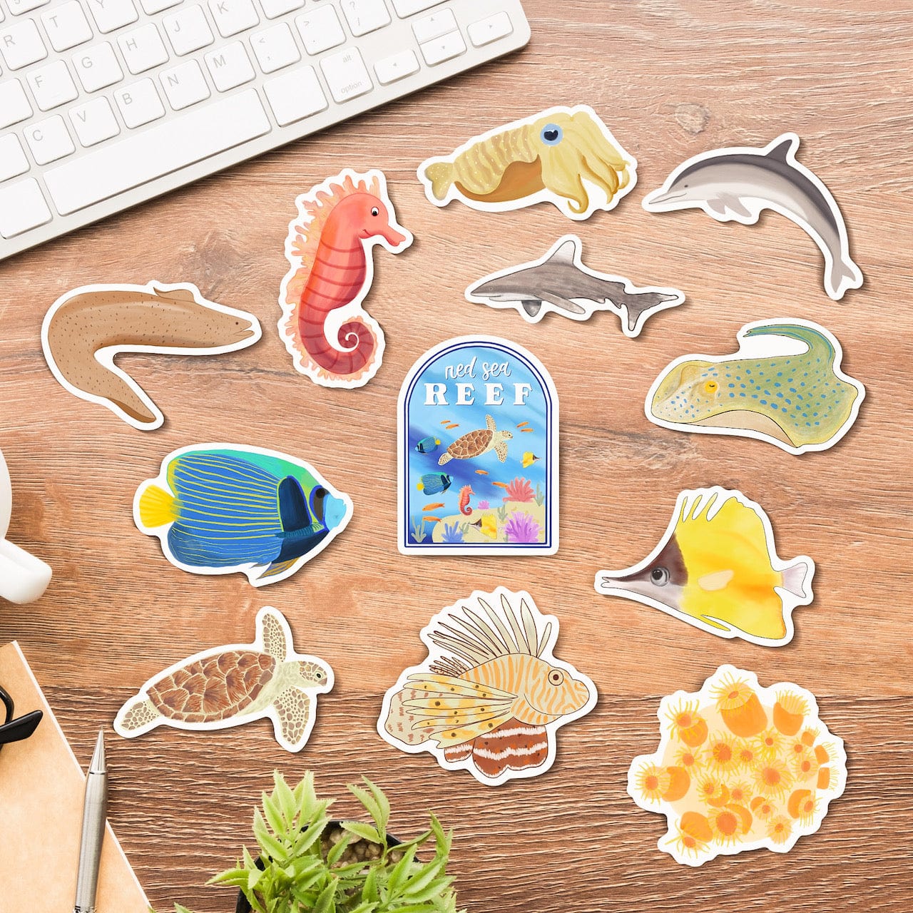  The Red Sea Ocean Animals 12-Pack、mySite、elrpsem3k