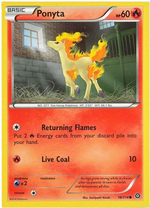 Ponyta - 16/114 - Common - XY Steam Siege (Square Cut Misprint)、mySite、waistdrama