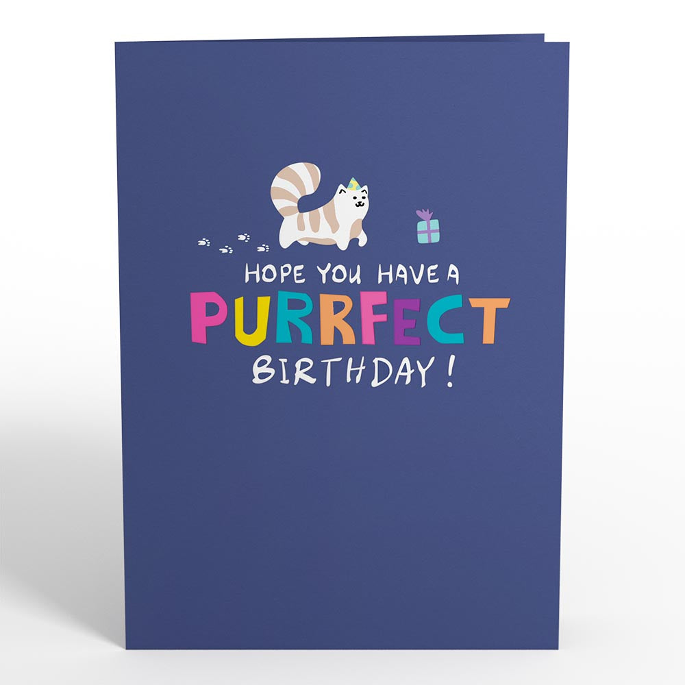 Happy Birthday Cats for the Childless Cat Lady Pop-up Cards、mySite、solidvoid