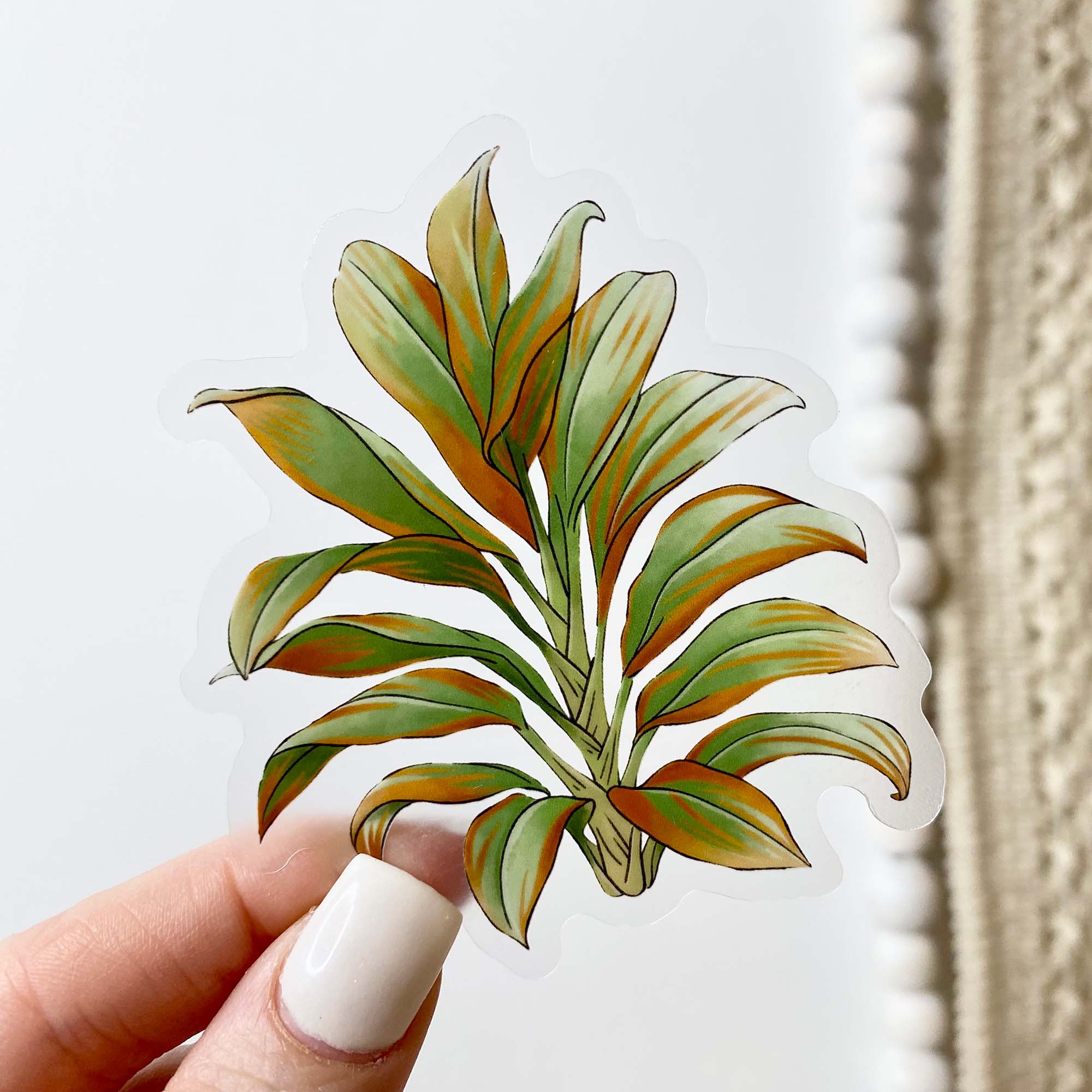  Cordyline Fruticosa - Botanical Clear Sticker、mySite、elrpsem3k