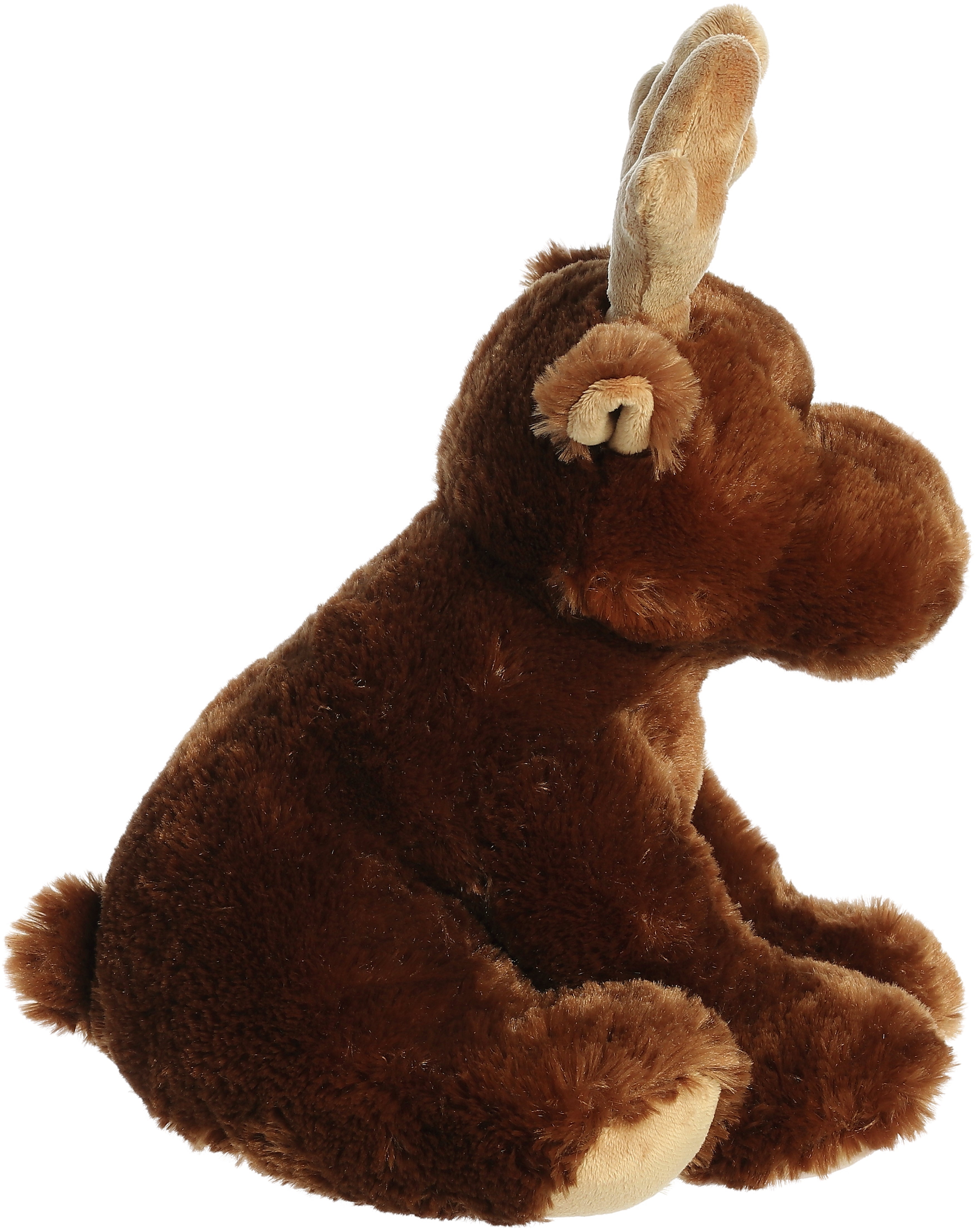 Aurora® - 14 Moose、mySite、g9winljtr