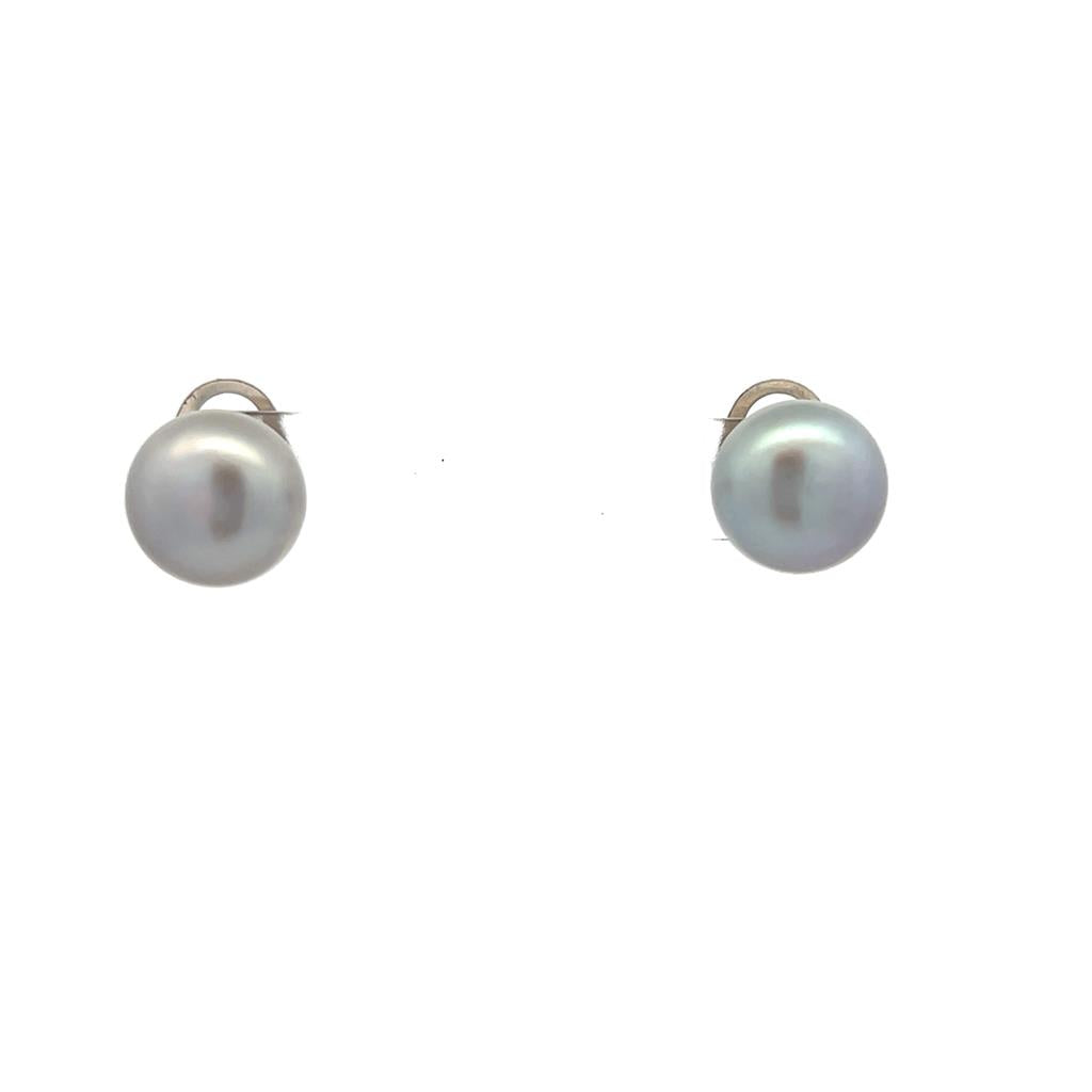 Estate Sterling Silver 11mm Dyed Gray Freshwater Pearl Stud Earrings、mySite、botmansion
