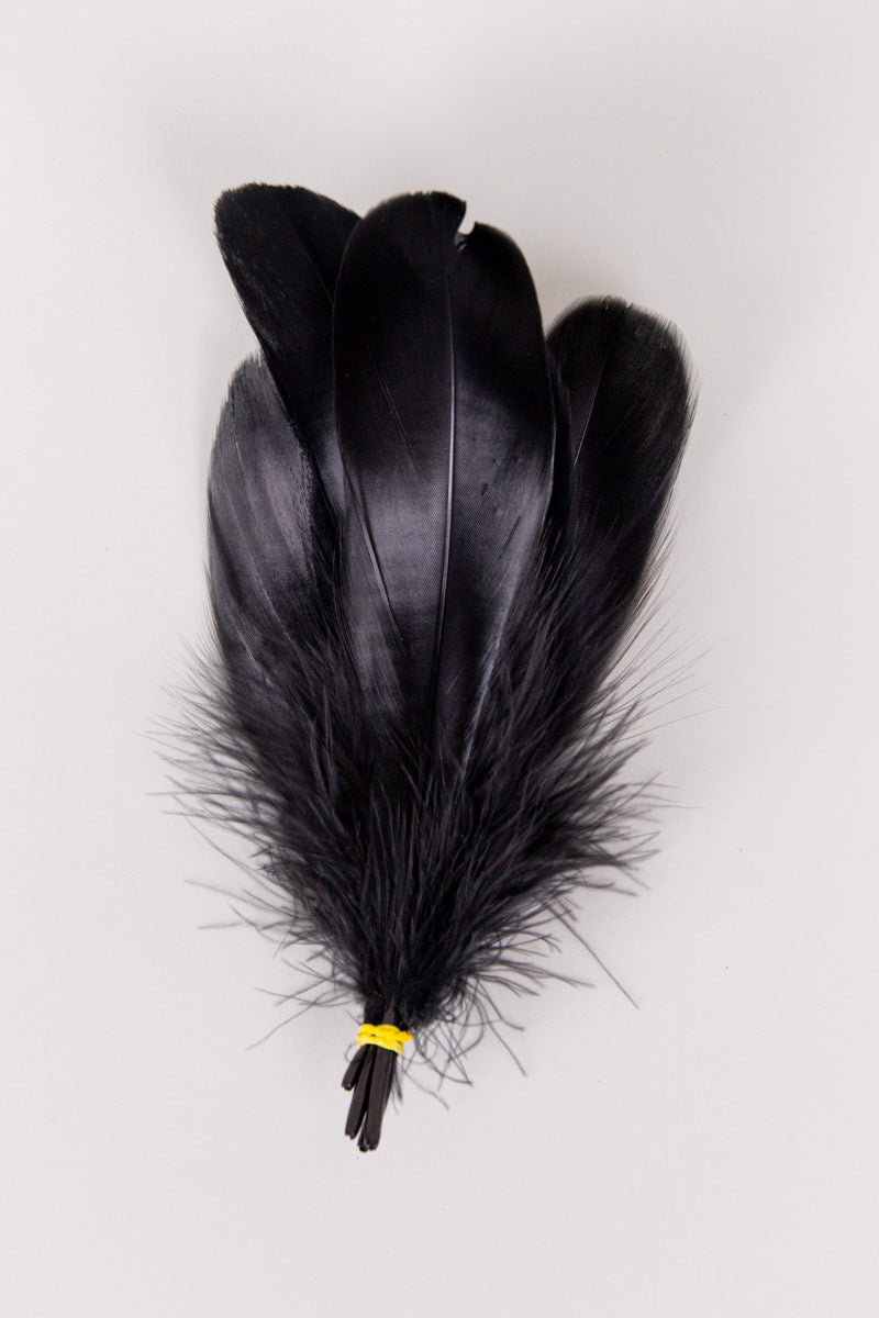 Goose Feathers Bundle of 6 - Yellow Rubber Band - FINAL SALE、mySite、hinf8tx79
