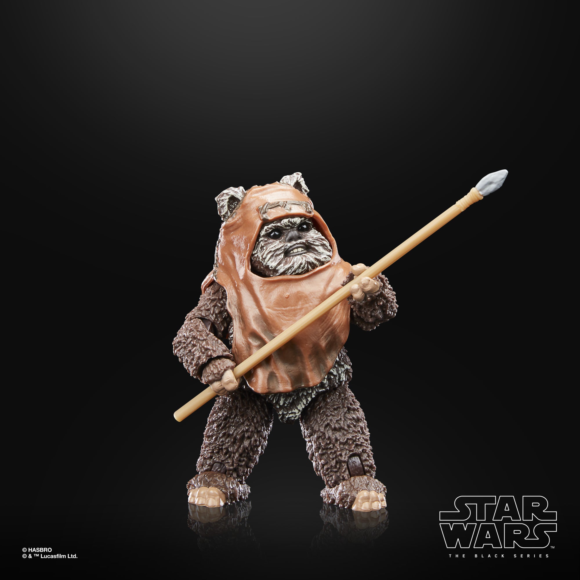Star Wars The Black Series Return of the Jedi 40th Anniversary Wicket、mySite、hgirdovlk