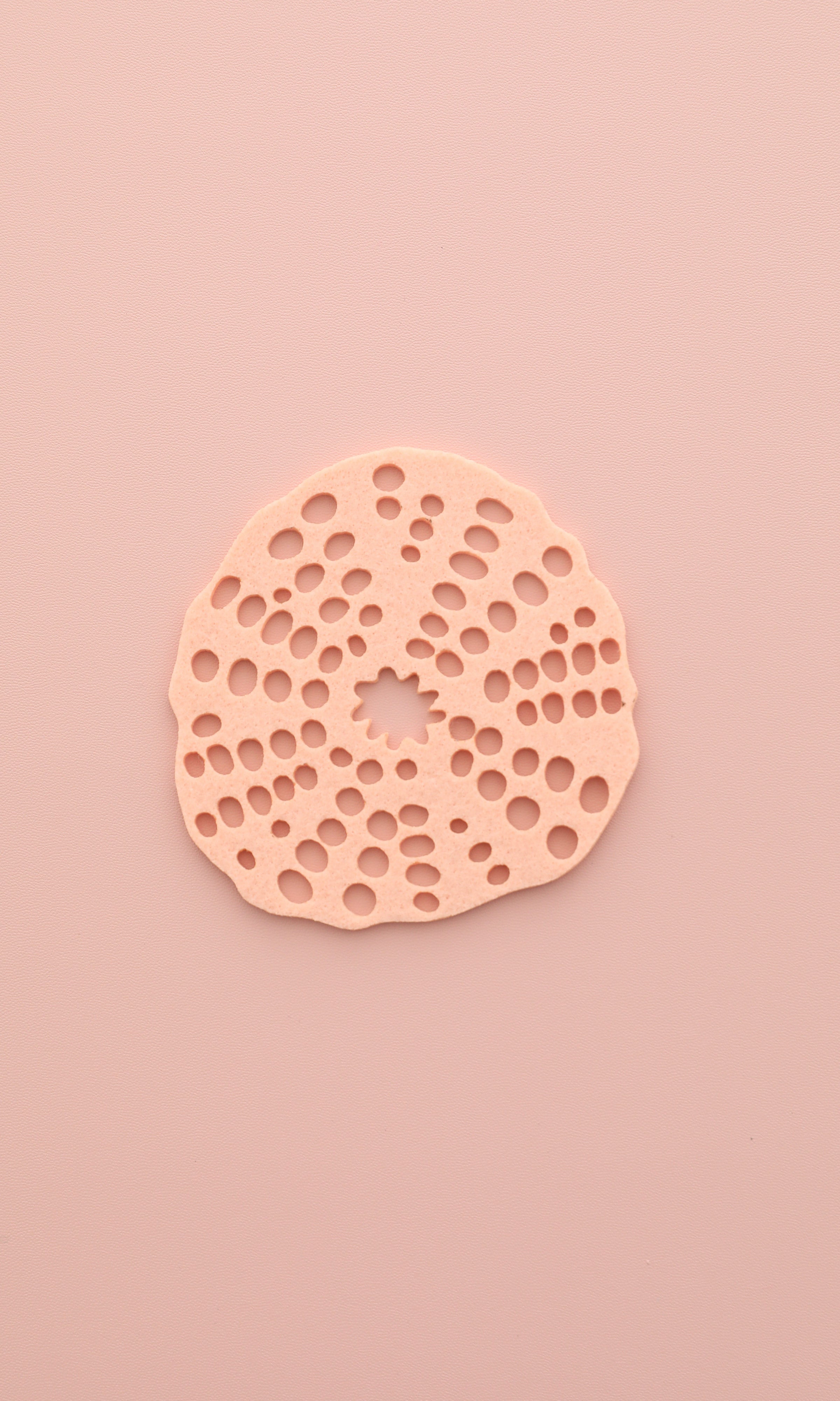 Felt Coasters Set of 4、mySite、aoinhome