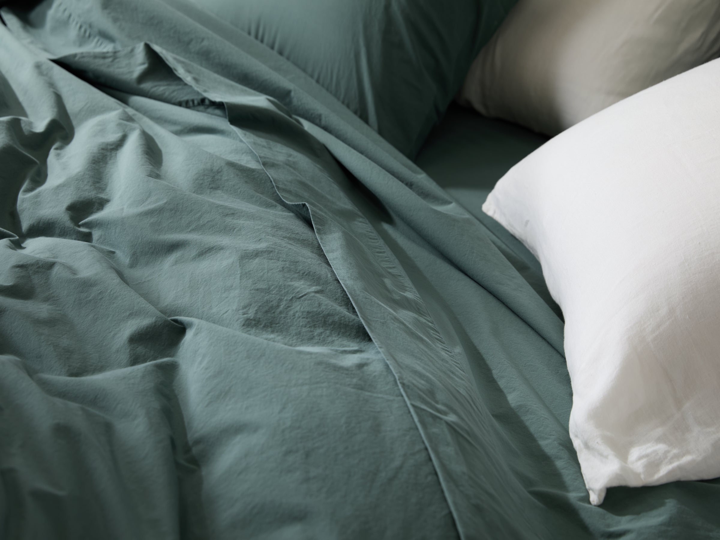  Percale Fabric Swatch (Agave)、mySite、sugarbowlscore