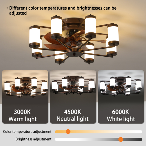 21.7 inch Ceiling Fan Light - Windmill-shaped Flush Mount Ceiling Fan with Light with Remote Control and Timer,Black、、eastwooduniform