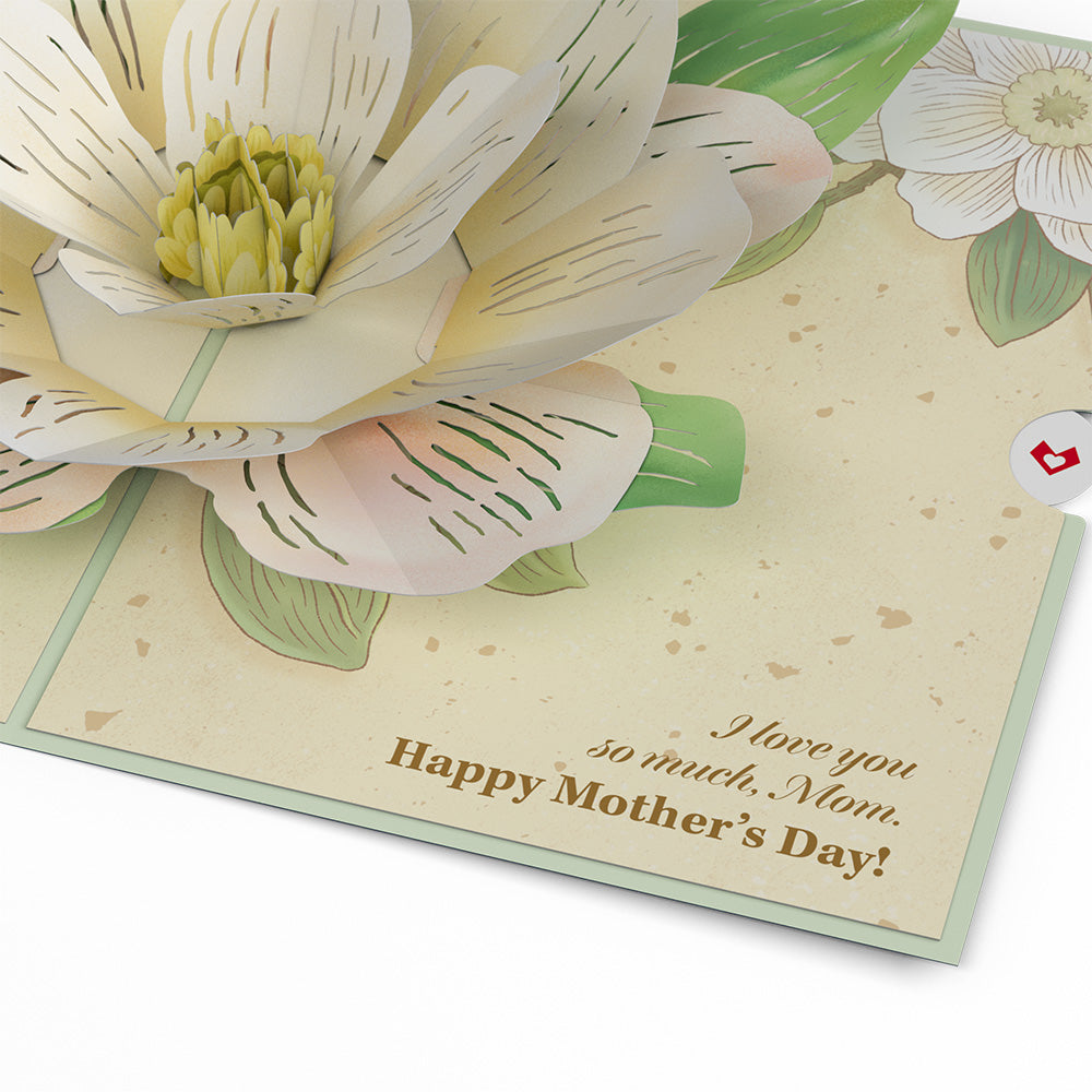 Mother’s Day Magnolia Pop-Up Card、mySite、solidvoid