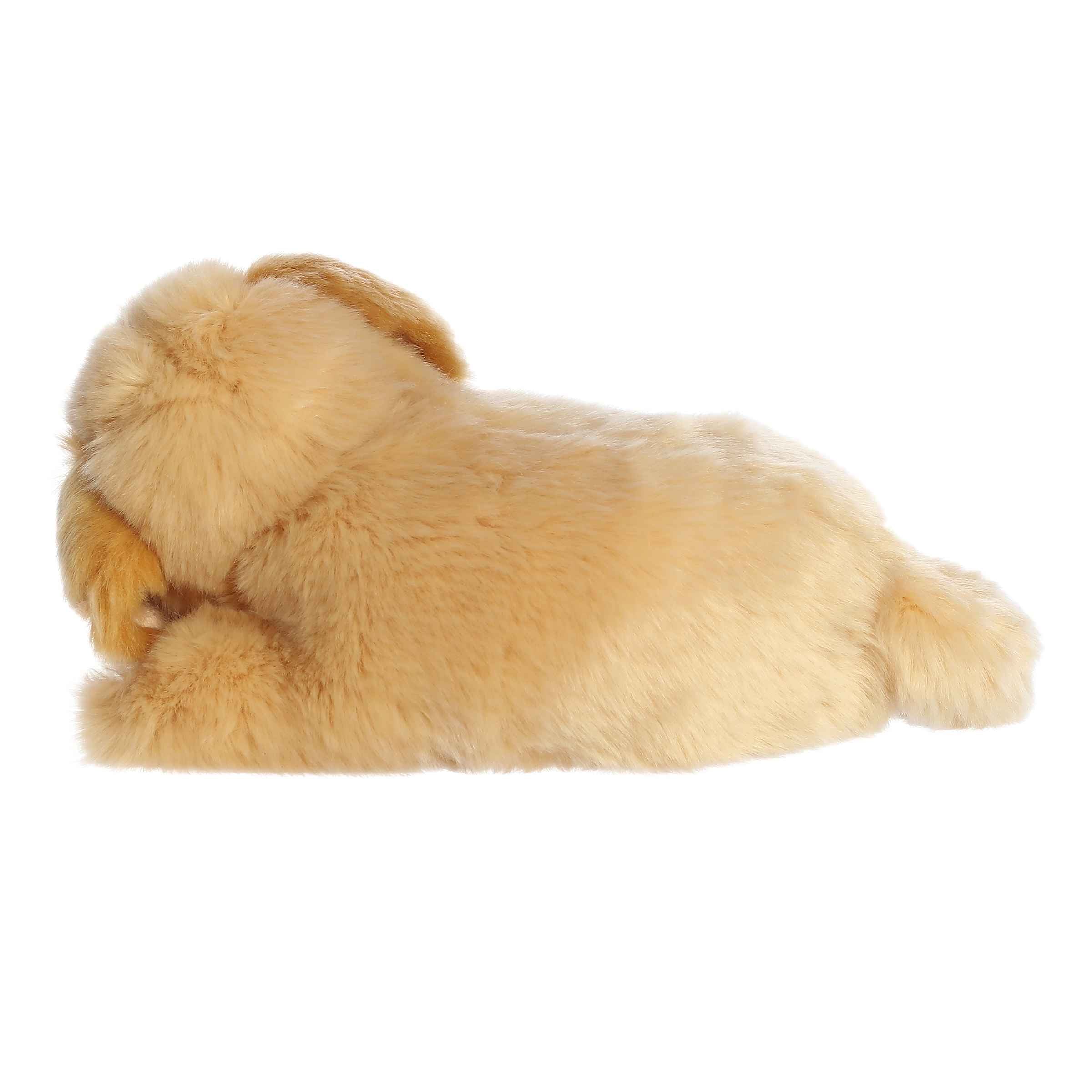 Aurora® - Miyoni® Tots - 10 Sleepy Golden Retriever Pup、mySite、g9winljtr