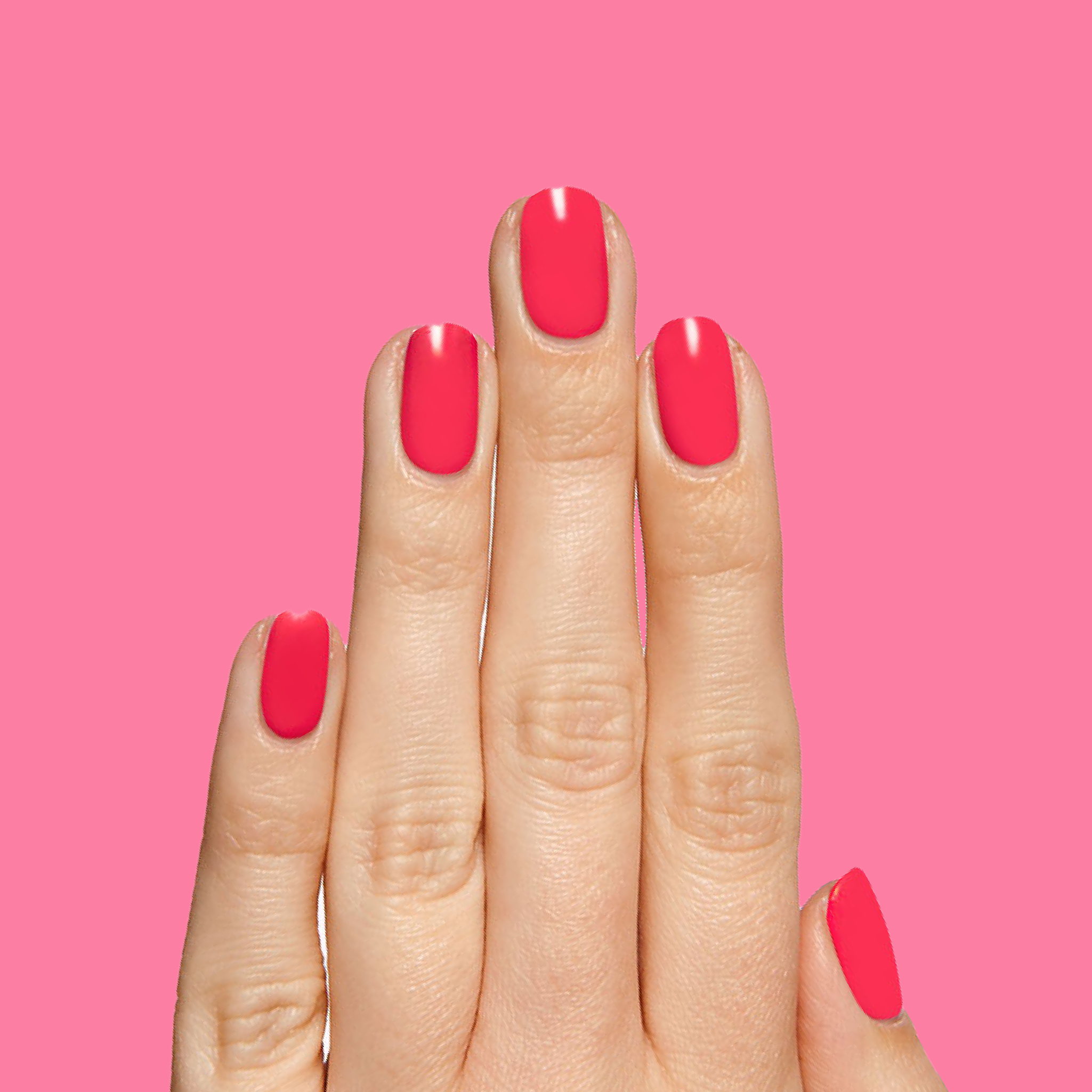 Hibiscus、mySite、solidvoid