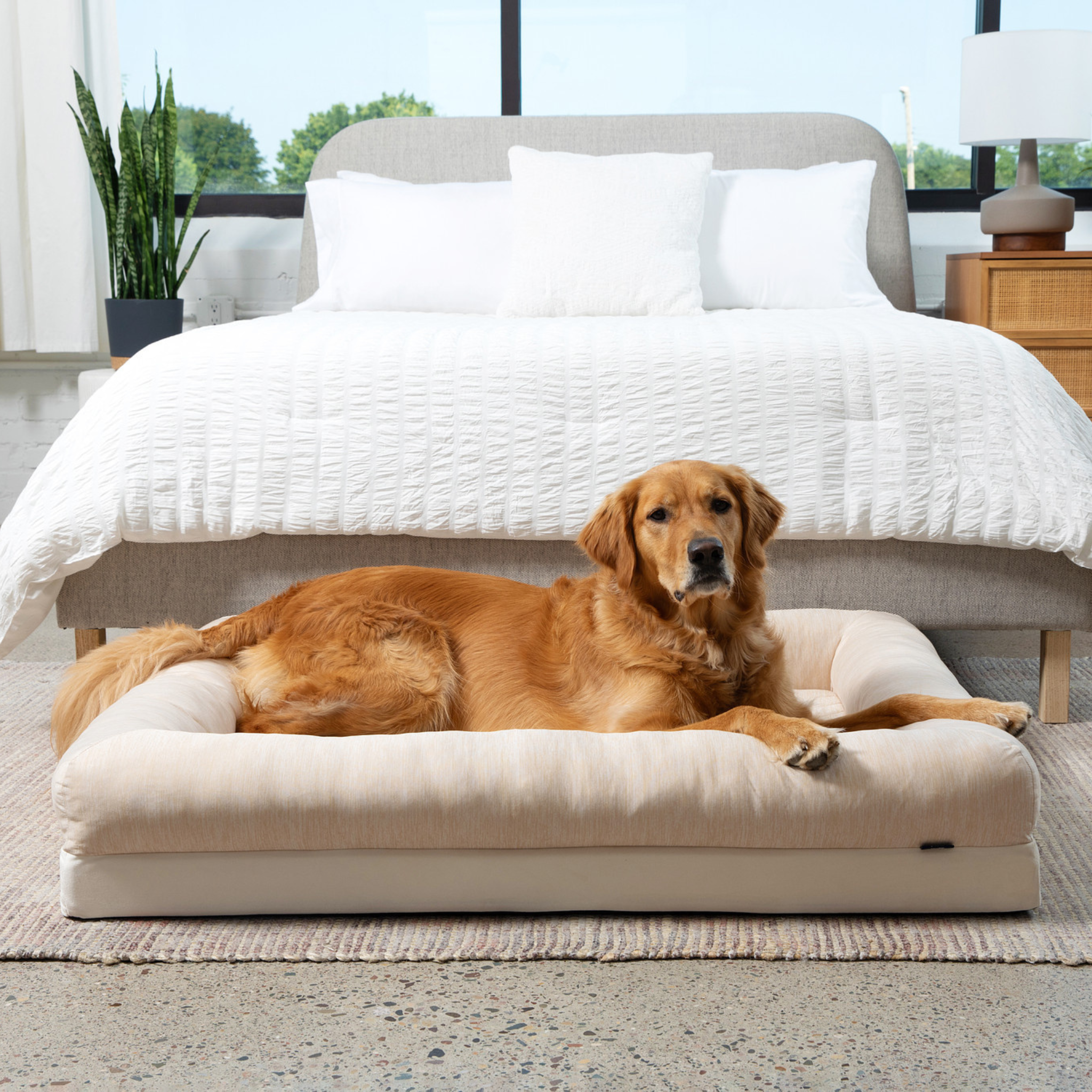 PupChill™ Cooling 4-Bolster Dog Bed - Arctic Sand、mySite、solidvoid