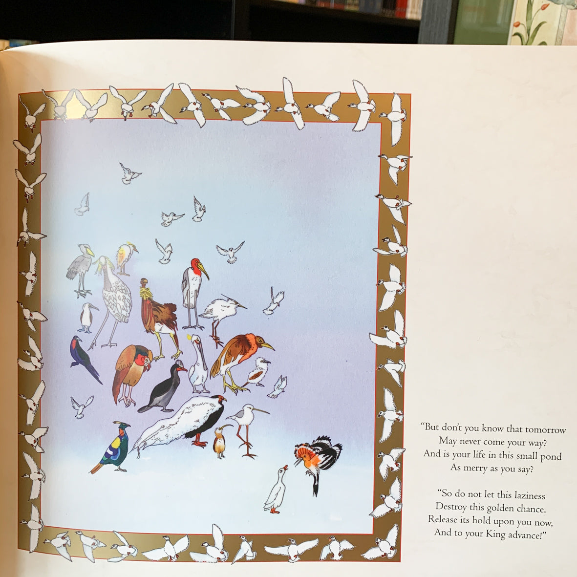 Conference of the Birds DEMI、mySite、topwebapps