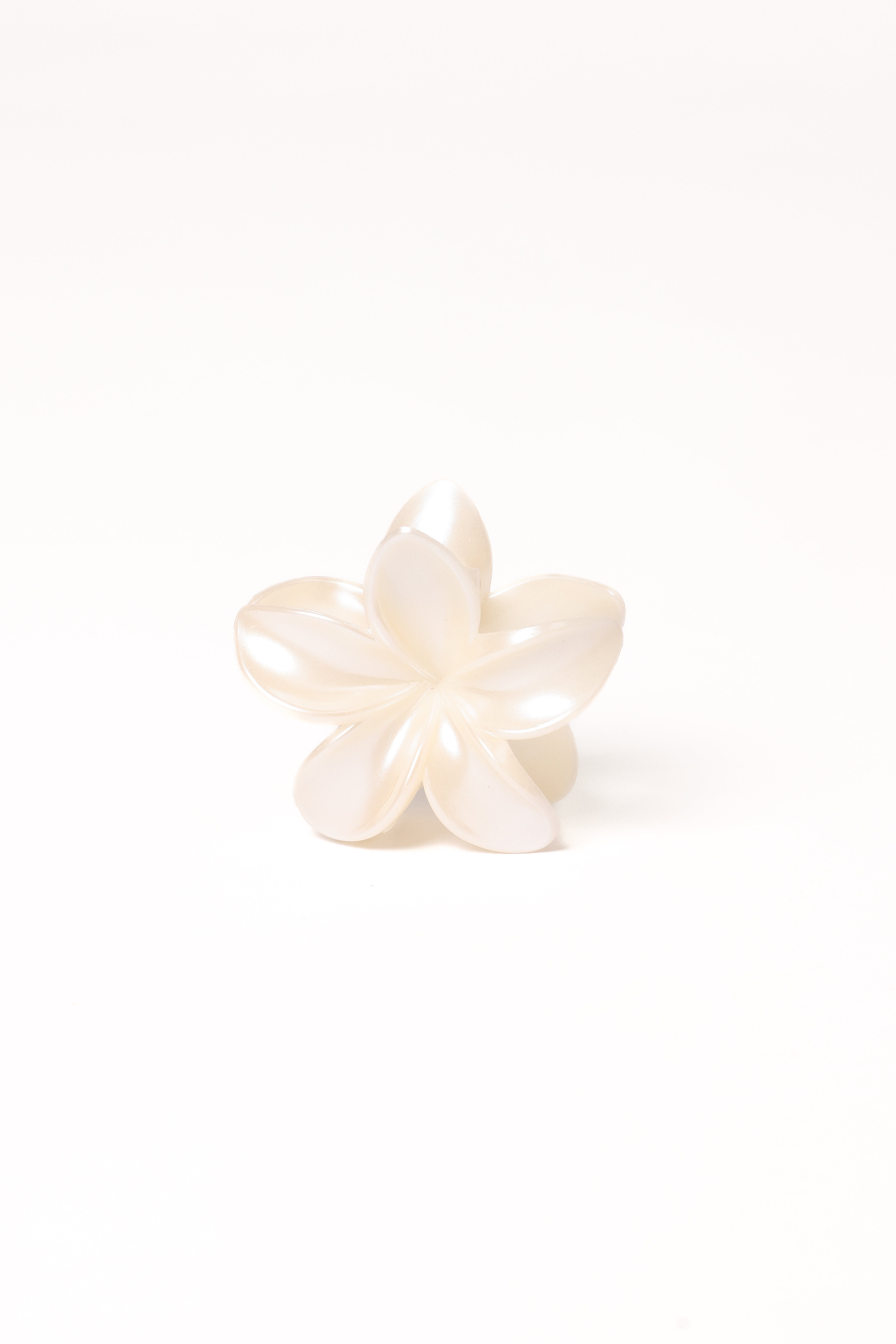  Tiarne Hair Clip - White、mySite、sugarbowlscore