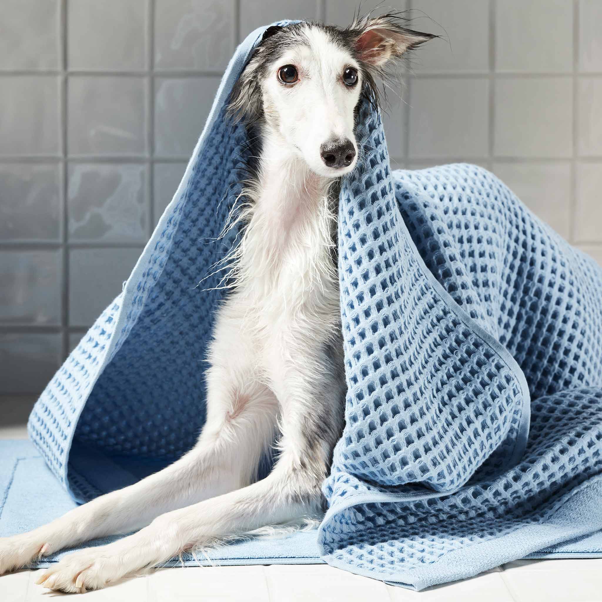  Dreamweave Waffle Hand Towels - Last Call、mySite、sugarbowlscore