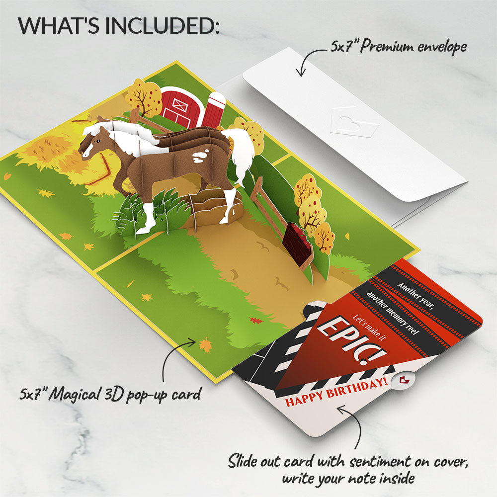 Horse Birthday Pop-Up Card and Epic Reel Sentiment Set、mySite、solidvoid