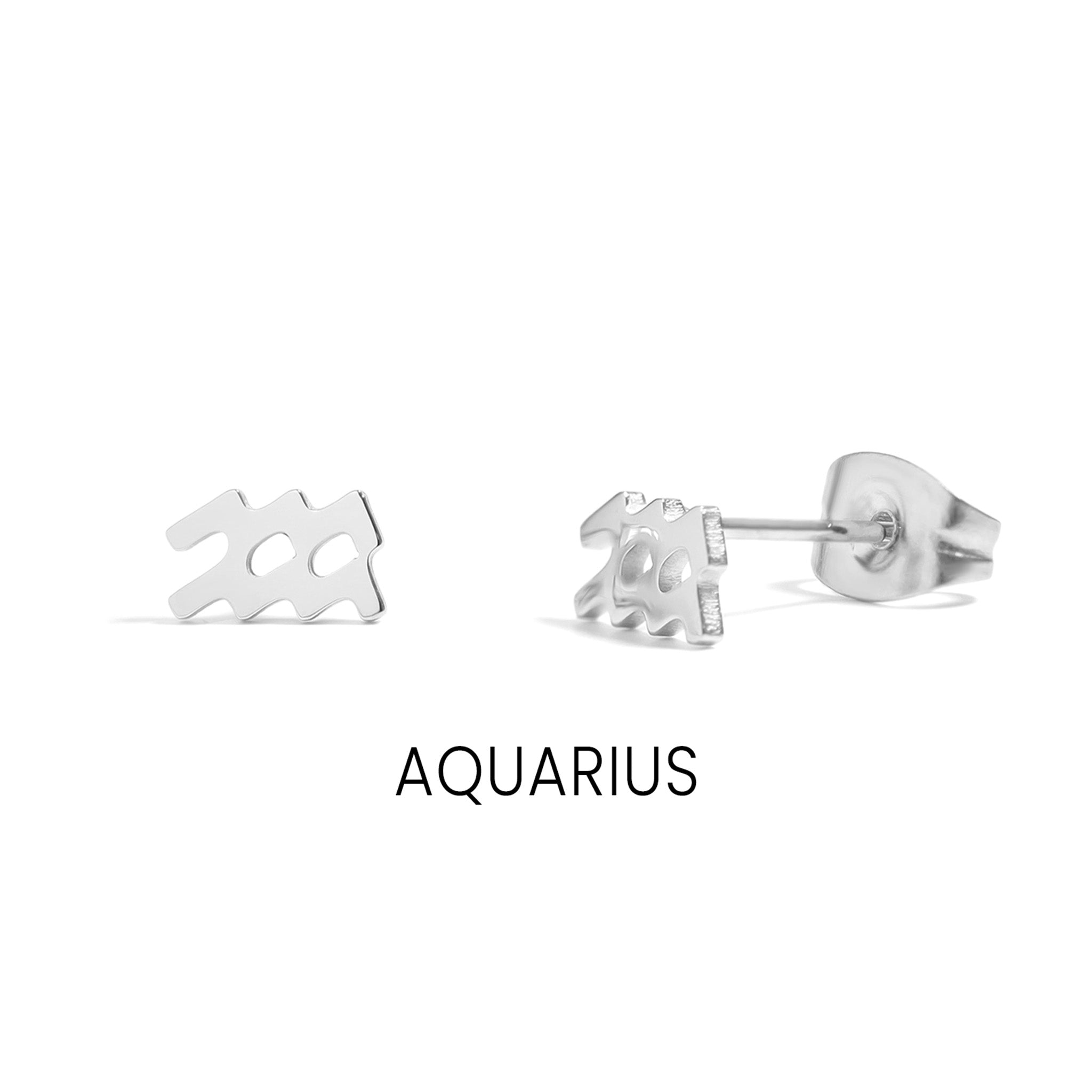18K Gold PVD Stainless Steel Zodiac Stud Earrings / ERJ0059、mySite、dreamappss