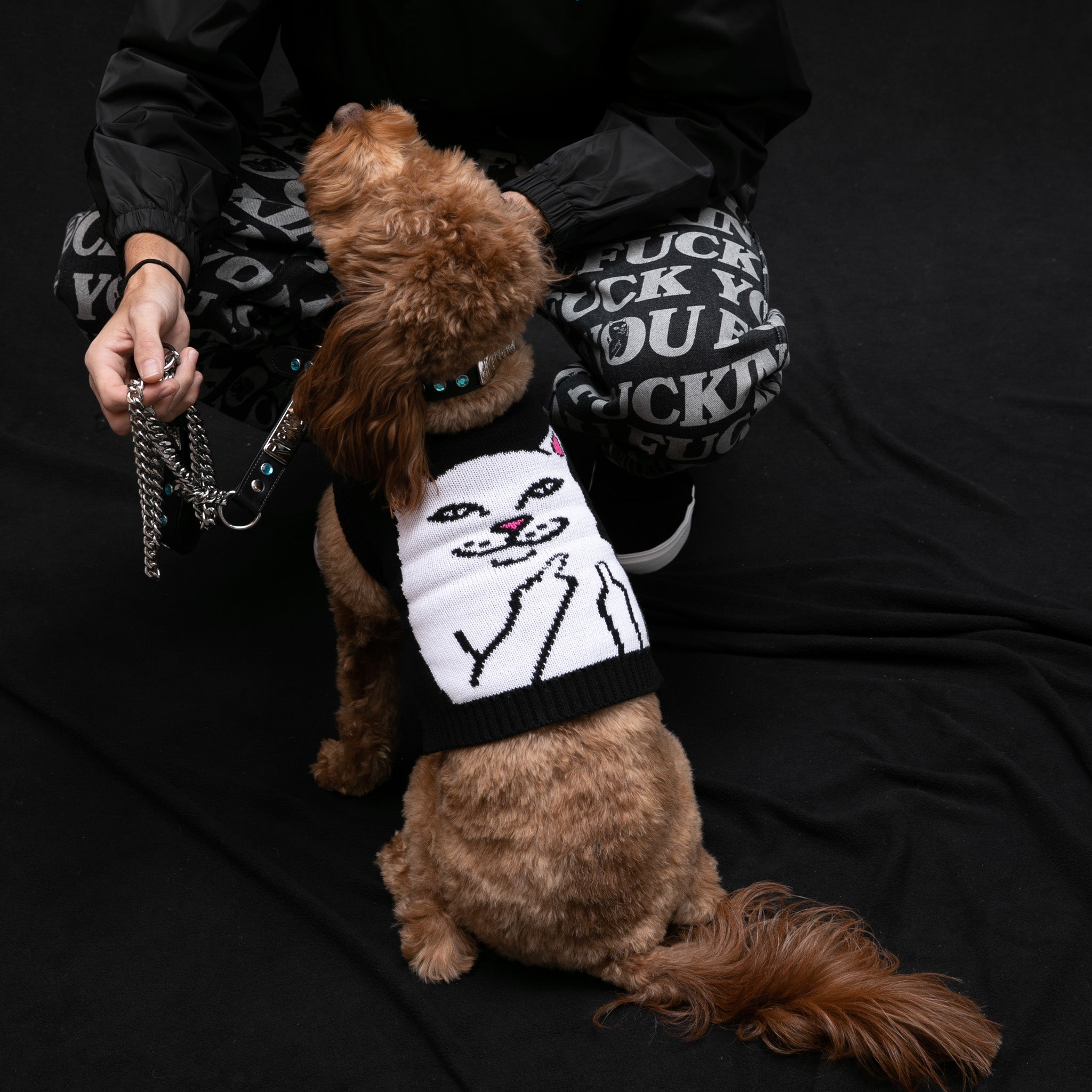  Lord Nermal Pet Knit Sweater Vest (Black)、mySite、merchandisen