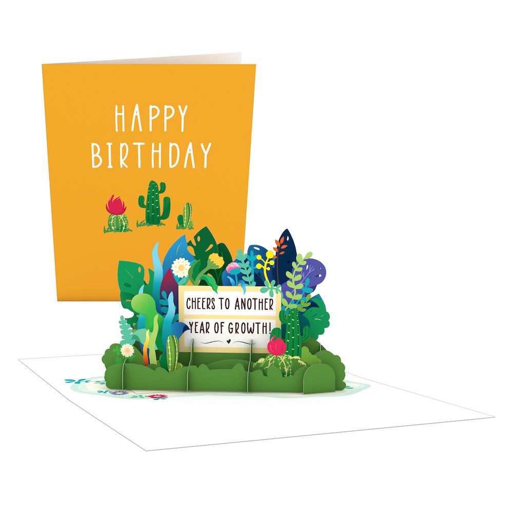 Paperpop Birthday Box Set (Assorted 24-Pack): Paperpop® Card、mySite、solidvoid