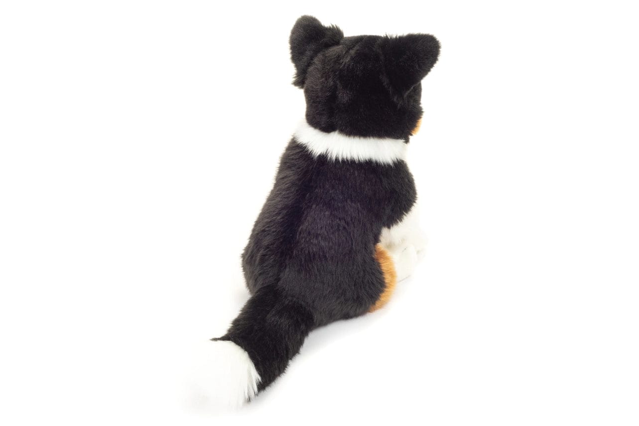 Tri-color Border Collie Eco Friendly Teddy Hermann 30cm、mySite、g9winljtr