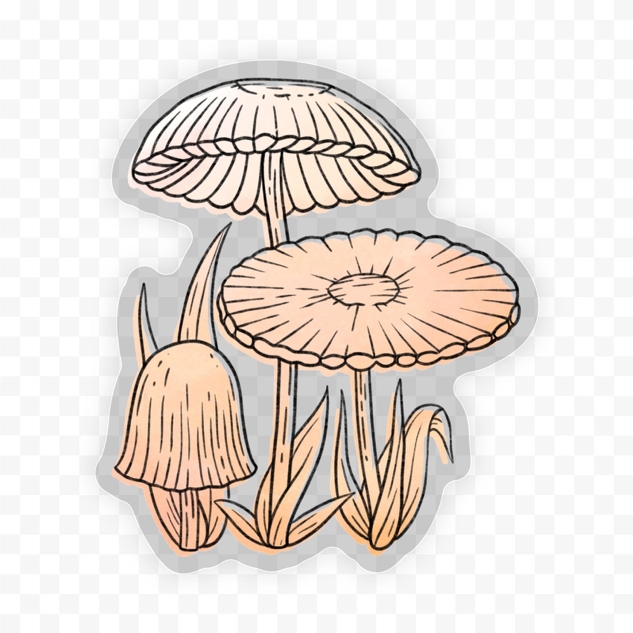  Agaricus Plicatilis Watercolor - Clear Sticker、mySite、ghnorth