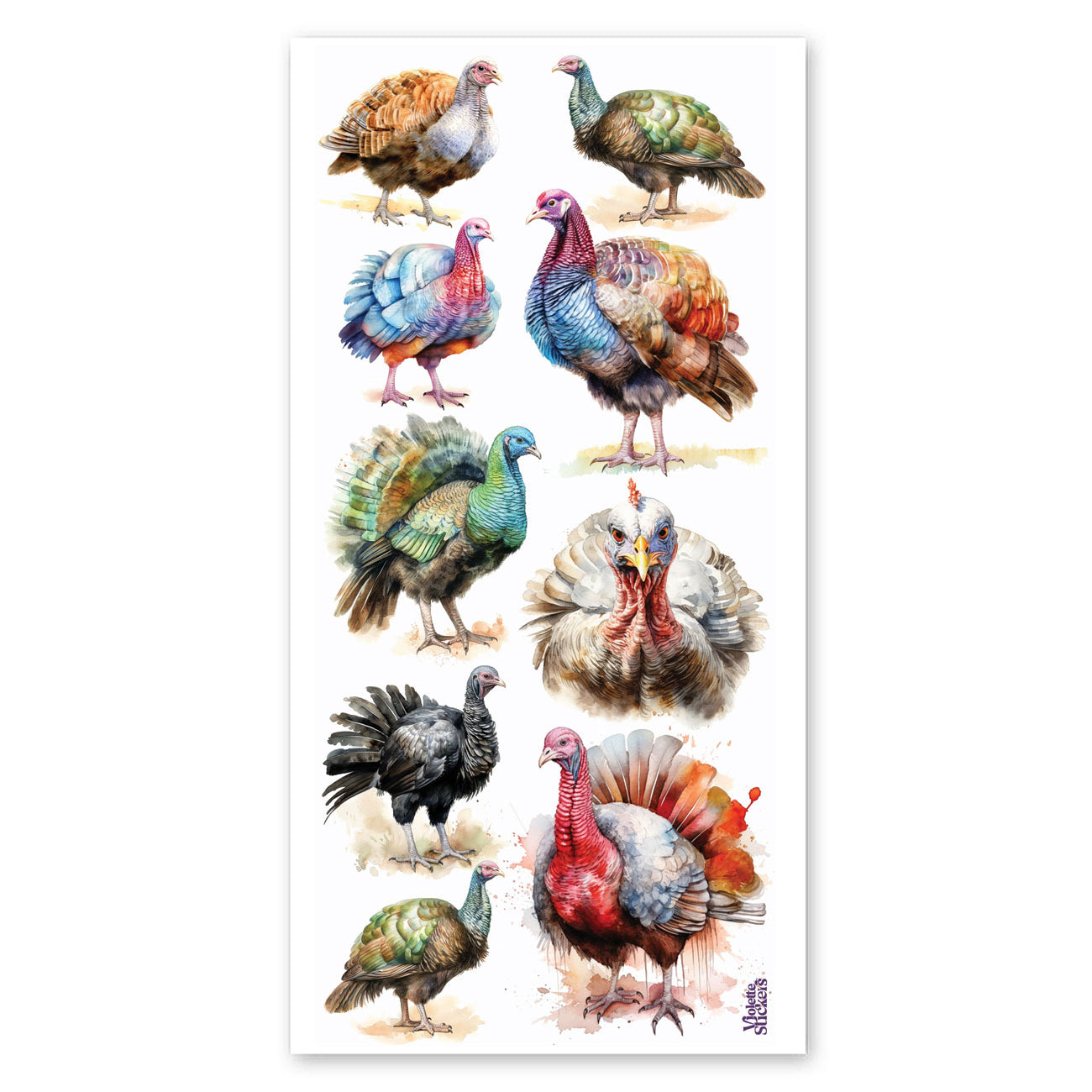  Wild Turkeys Stickers、mySite、ghnorth