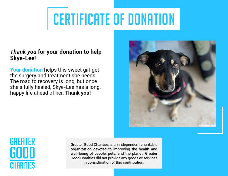 Funded: Help Skye-Lee Live Cancer-Free、mySite、camillekostekn