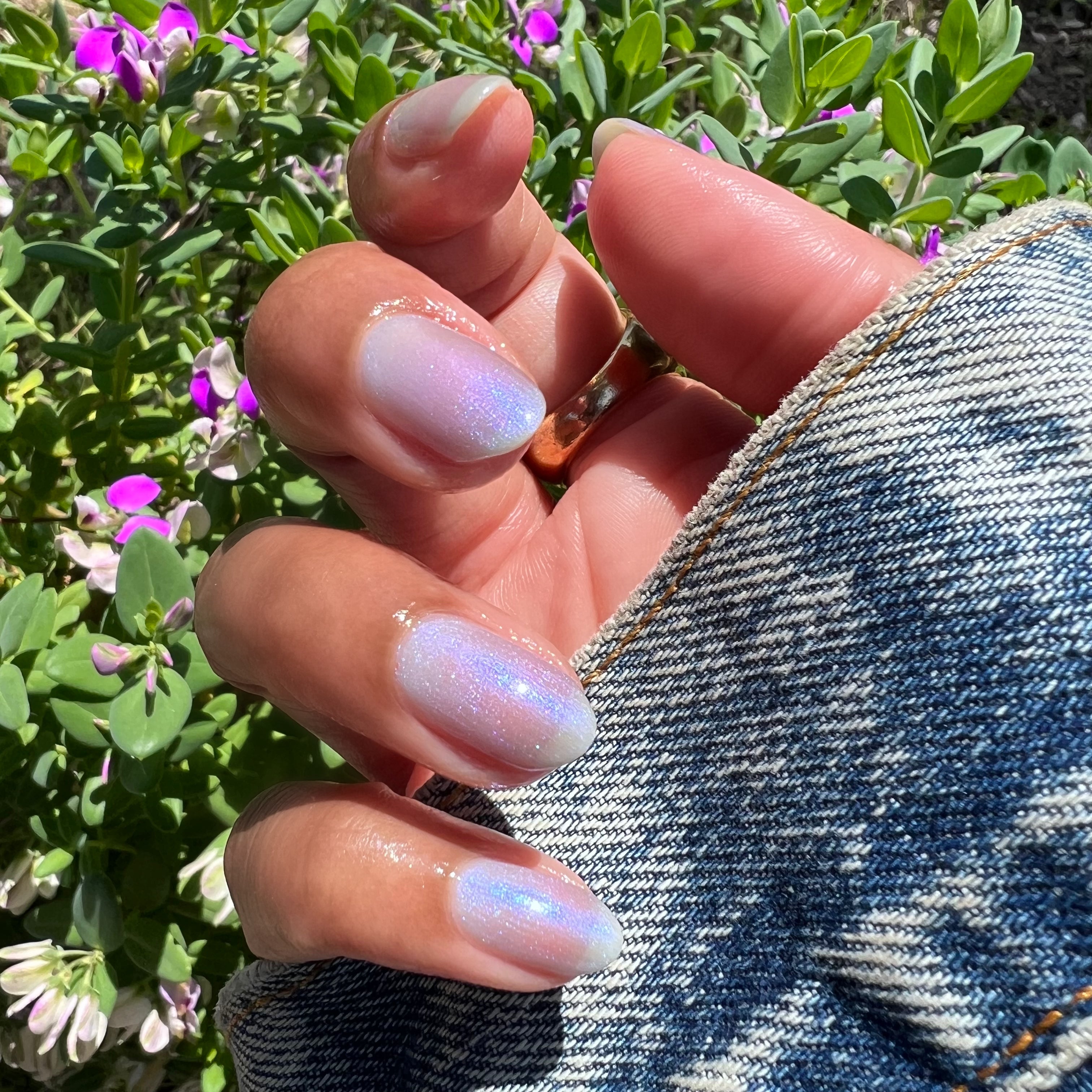 Friend or Anemone?、mySite、solidvoid