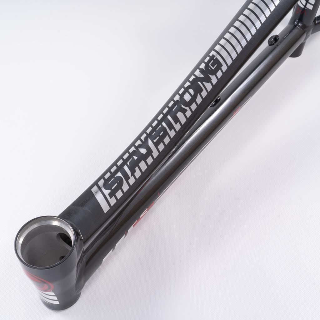  Stay Strong For Life 2023 V4 Pro XXL Race Frame - Disc Version、mySite、merchandisen