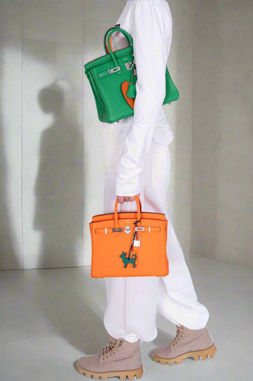 Hermès Birkin 25 Bambou Togo Palladium Hardware、mySite、garminoutage.com