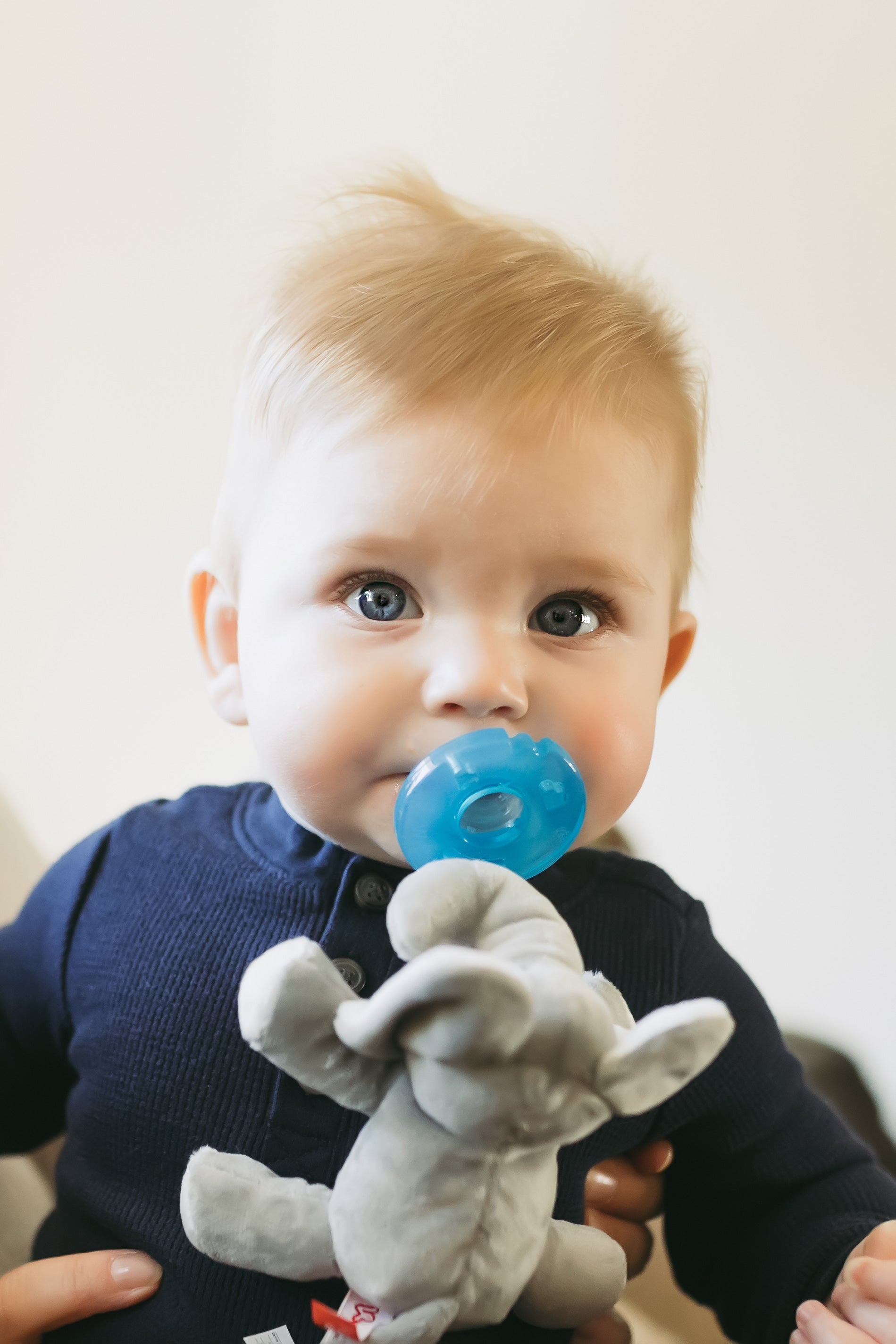 WubbaNub® - Grey Elephant、mySite、g9winljtr