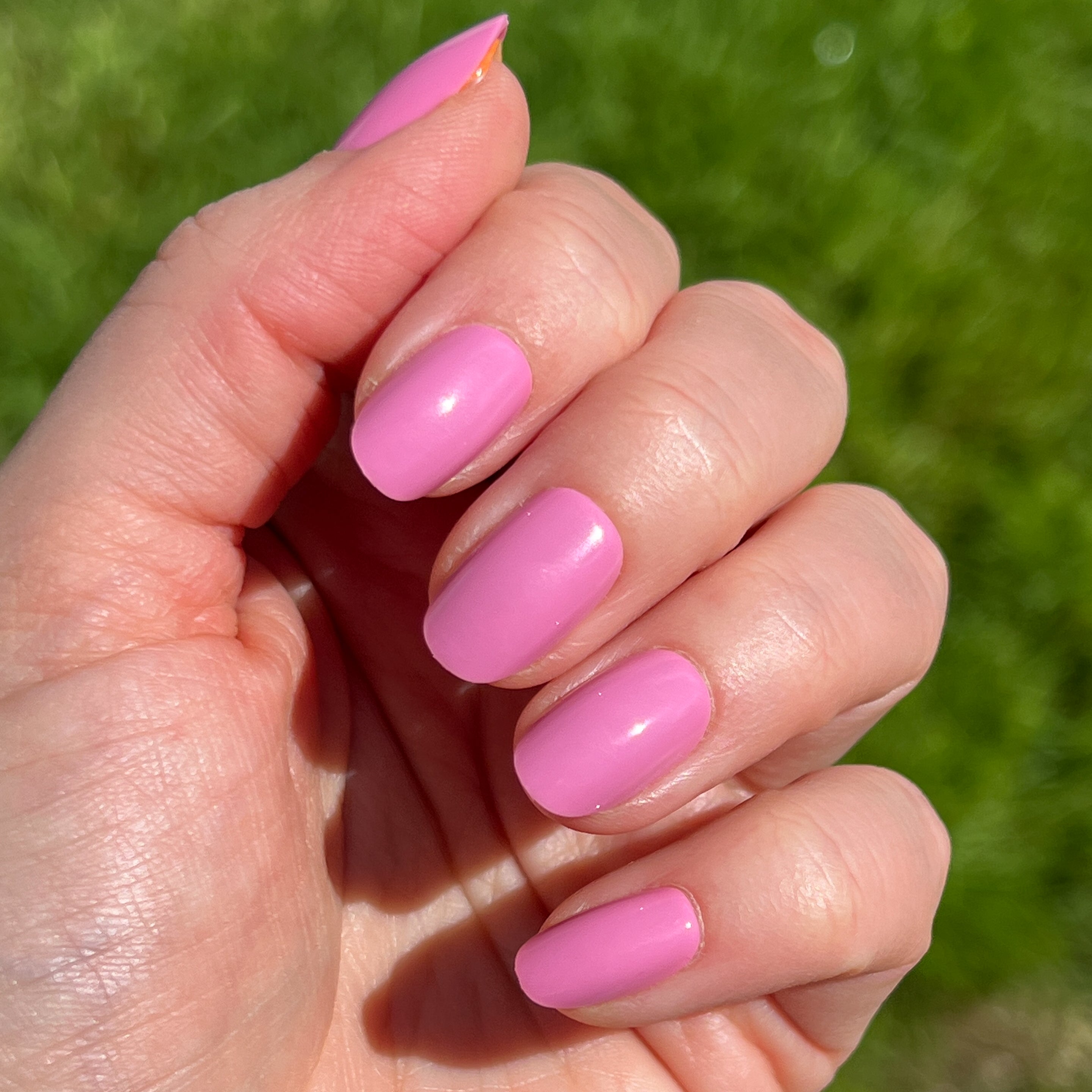 Grateful & Kind | Round | Short、mySite、solidvoid